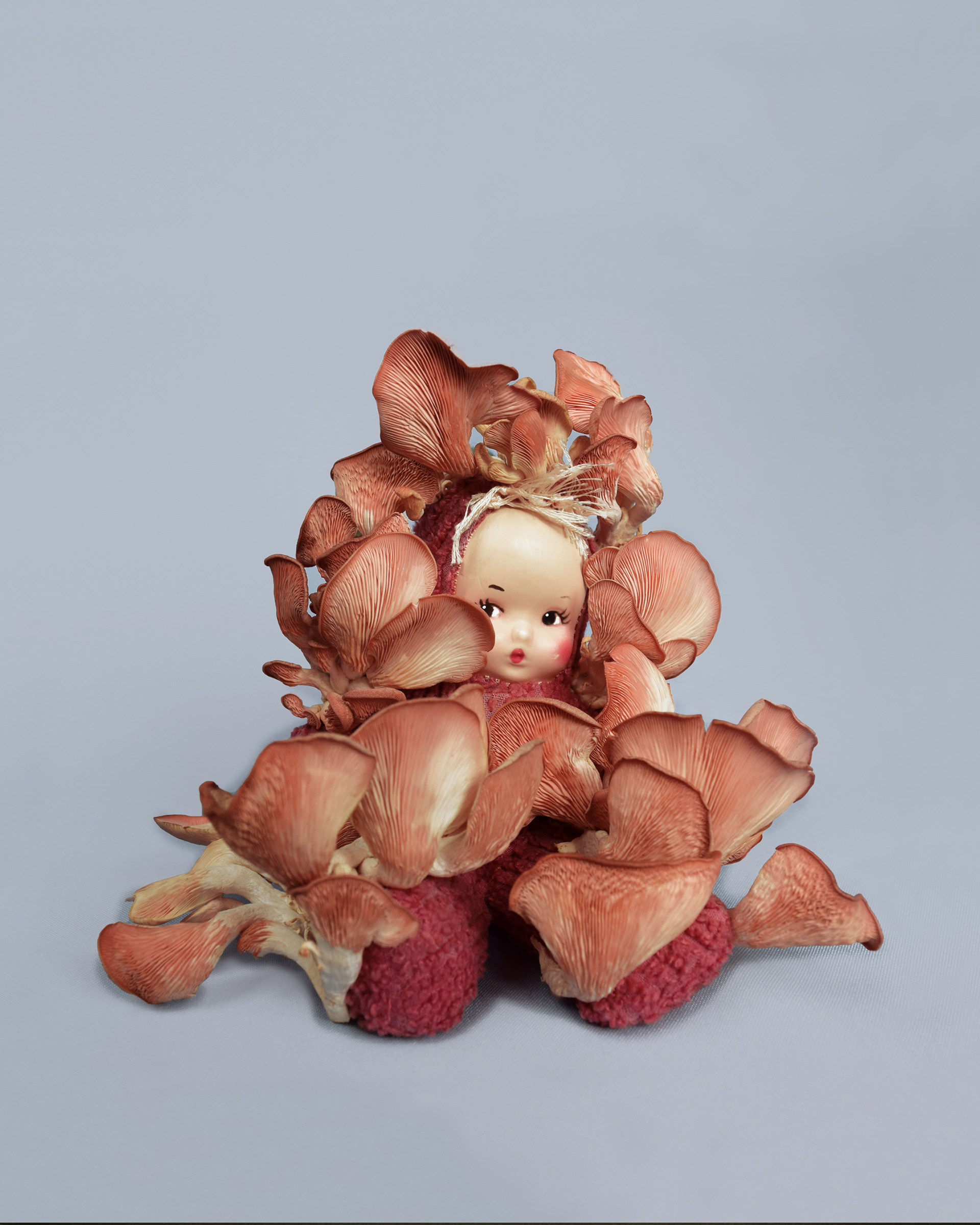 Soft Decay, 2019