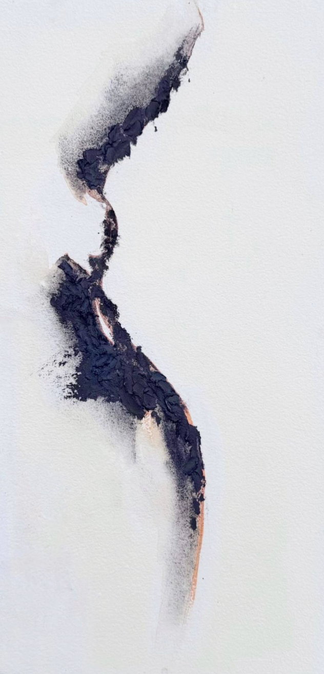 Bark Skin, 2025