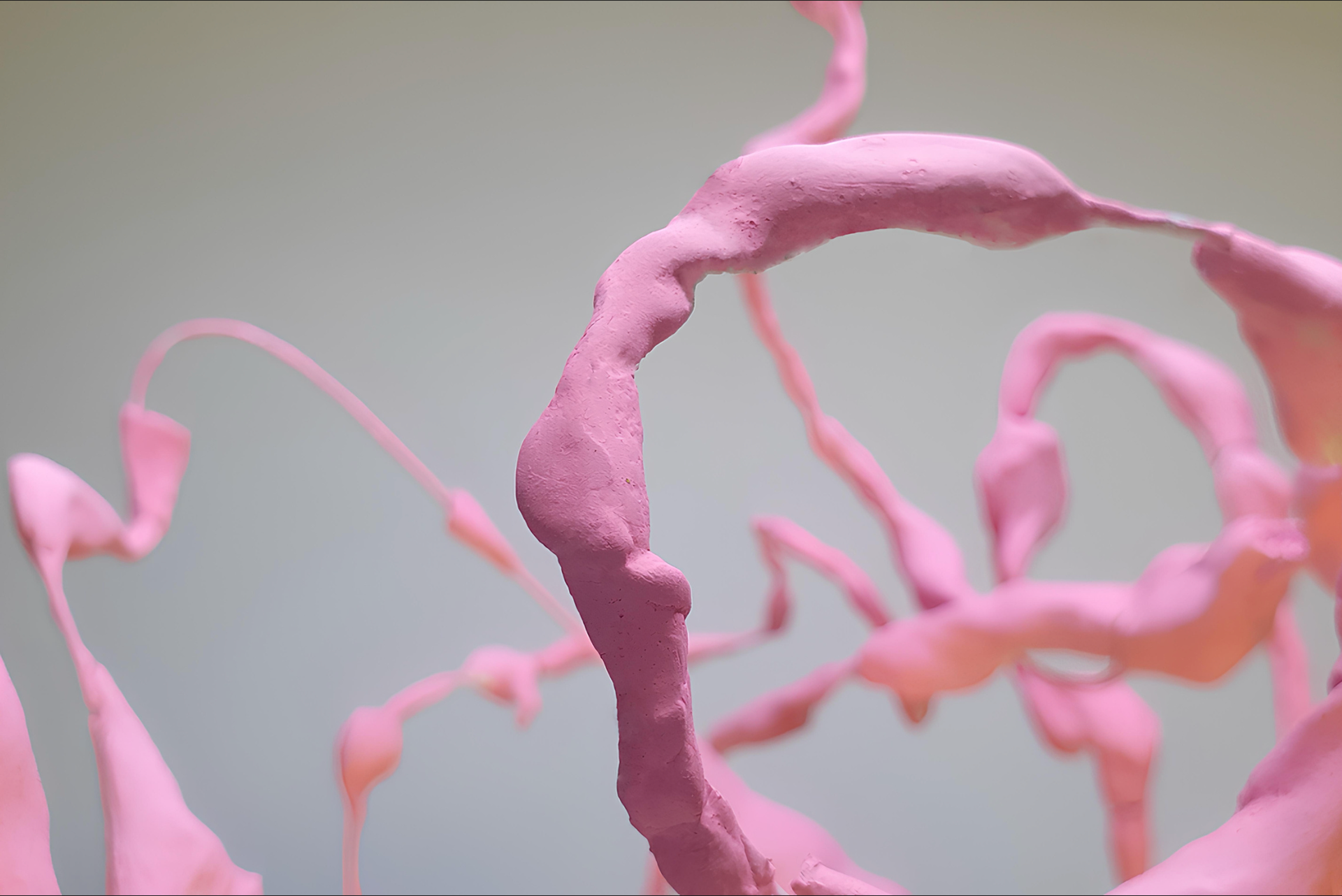 Tides of Adaptation, 2025, wire, clay, gouache, wooden stand, gold leaf, 13.8 × 13.8 × 9.8 in