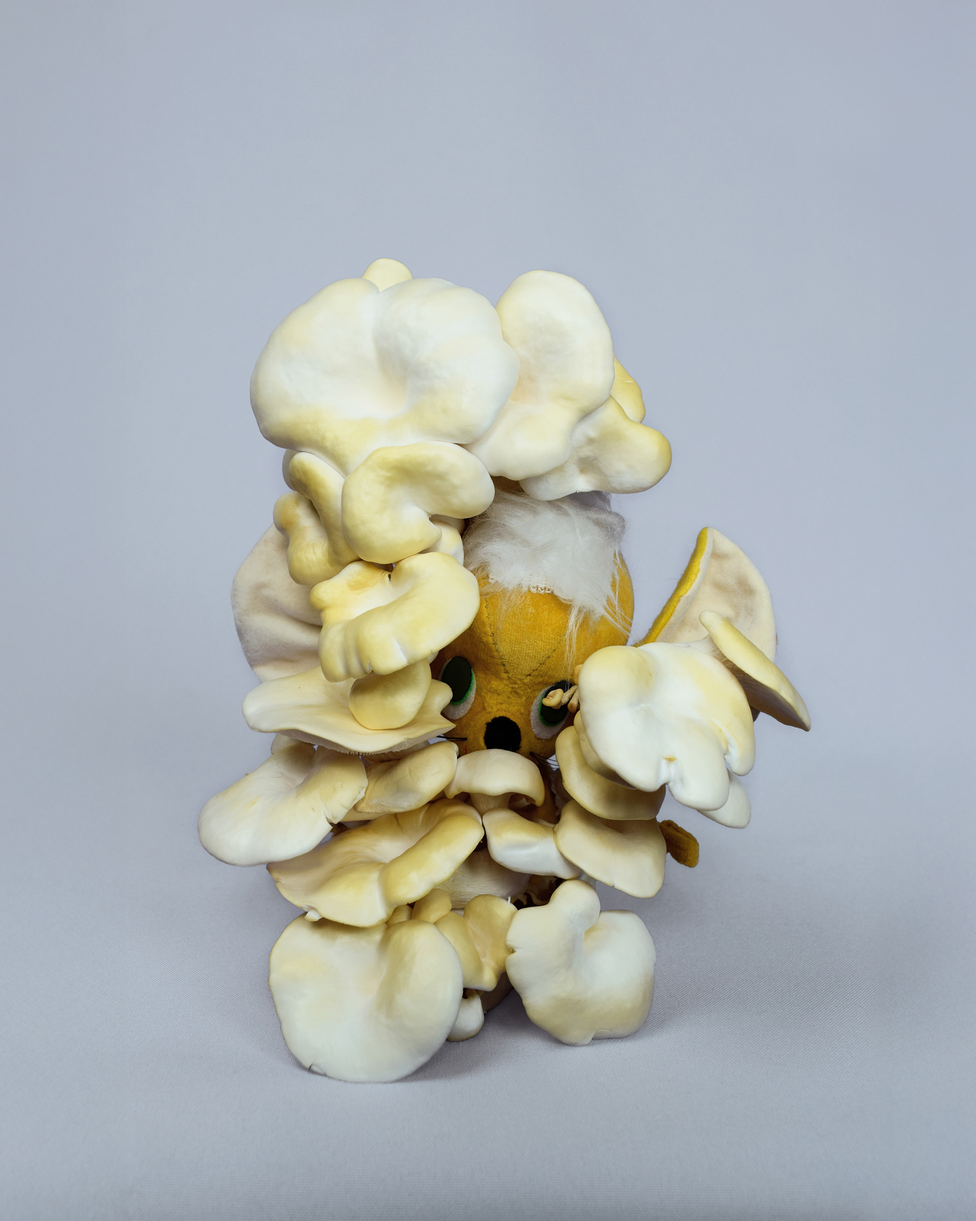 Soft Decay, 2019