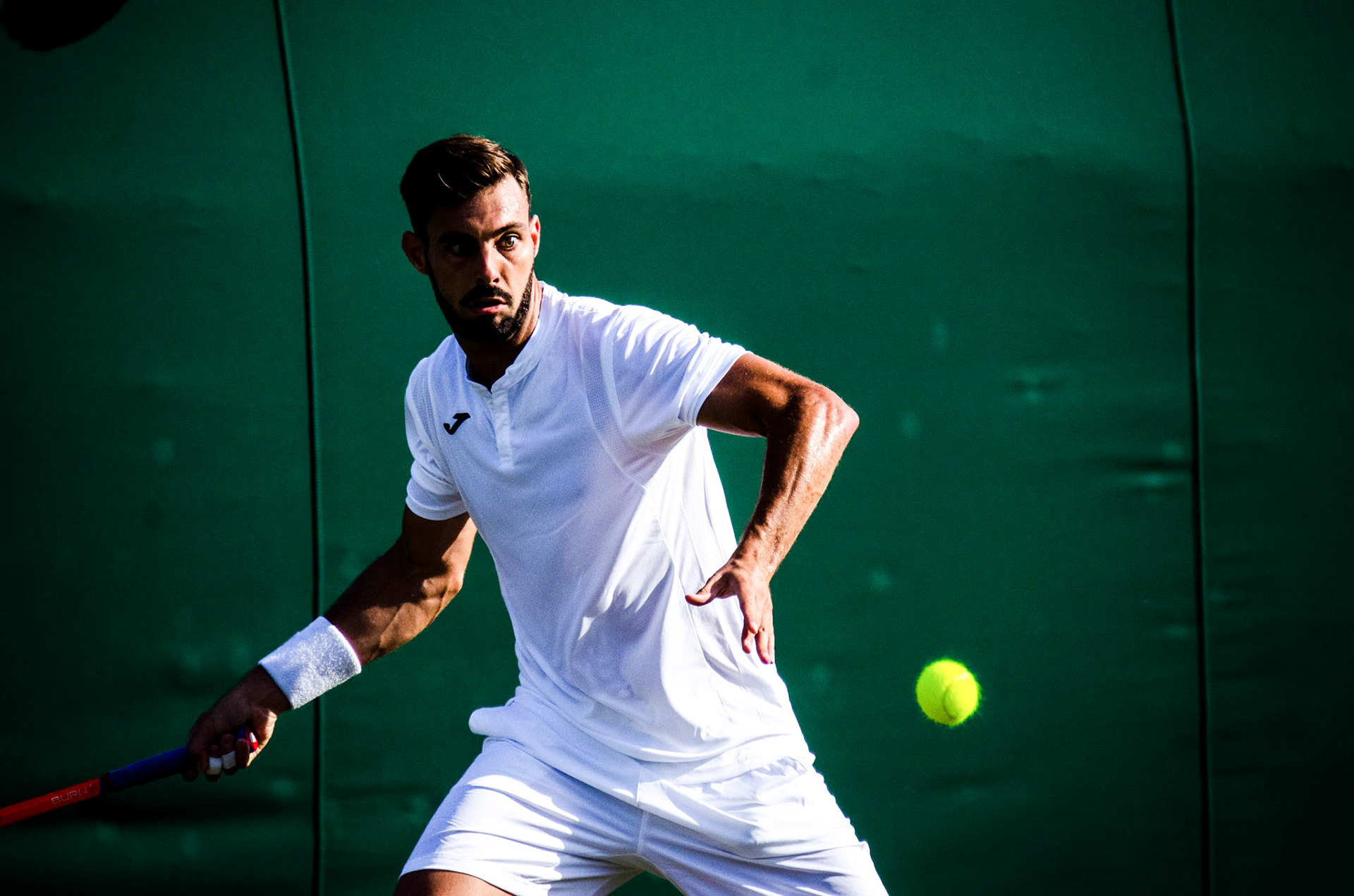 Wimbledon 2015