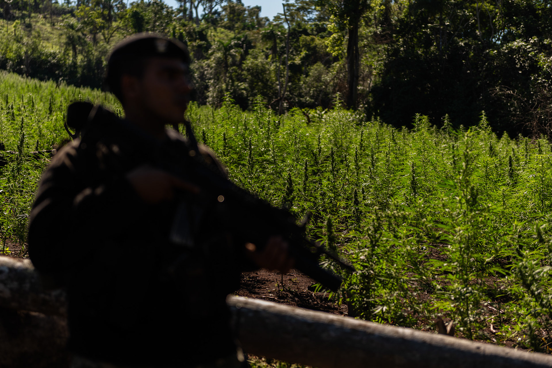 Los guardias armados rodearon el perímetro: esperaban “sorpresas” desde la espesura del monte, según ellos mismos.