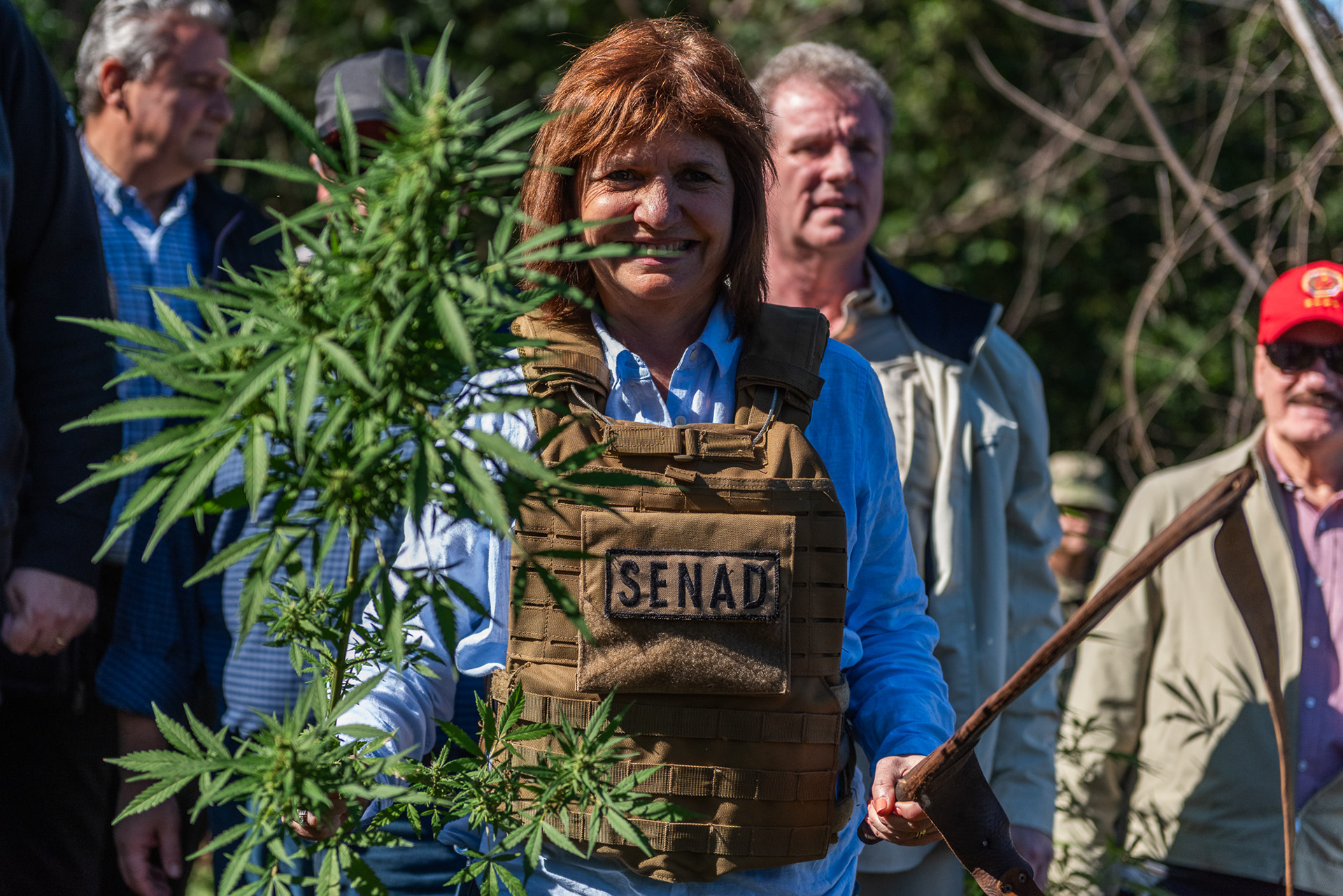 Bullrich posa con una planta de marihuana
