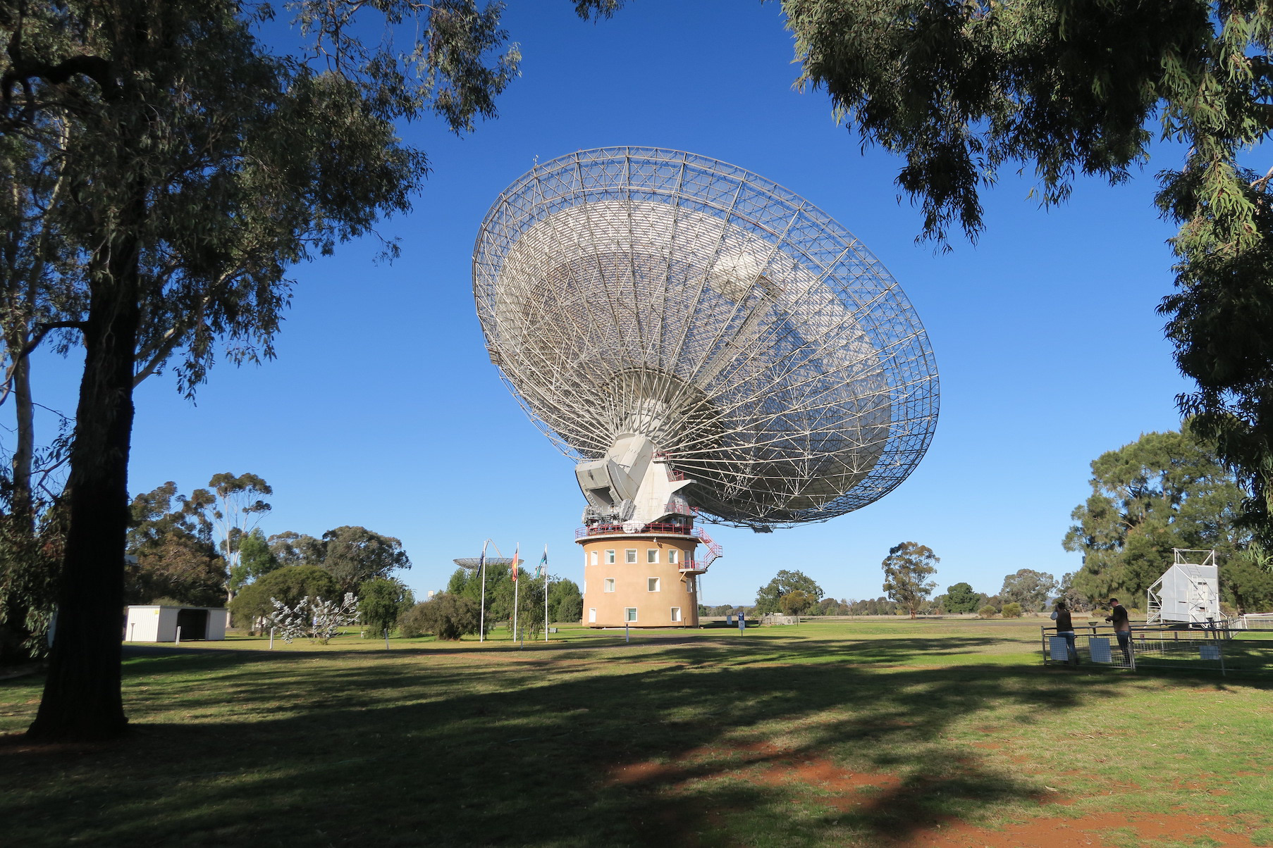 What a glorious day it was at The DISH. :)