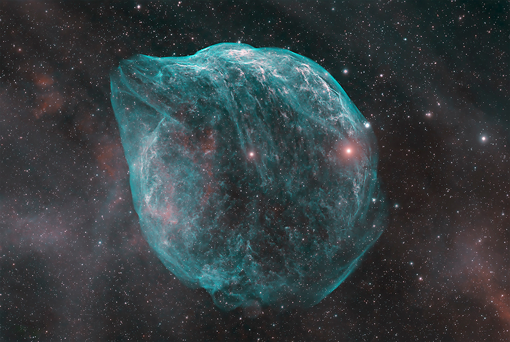 Prasun Agrawal - "SH2-308 Dolphin Head Nebula"
