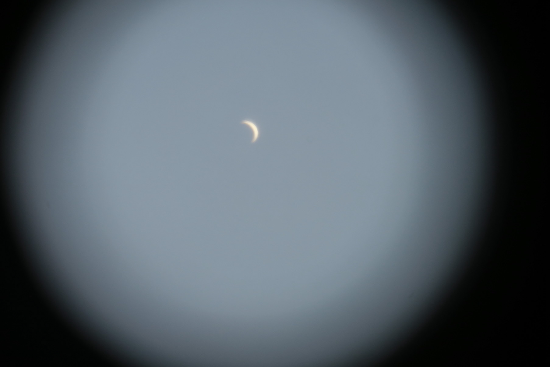 The view of the crescent Venus through Laurie Crowley's telescope.