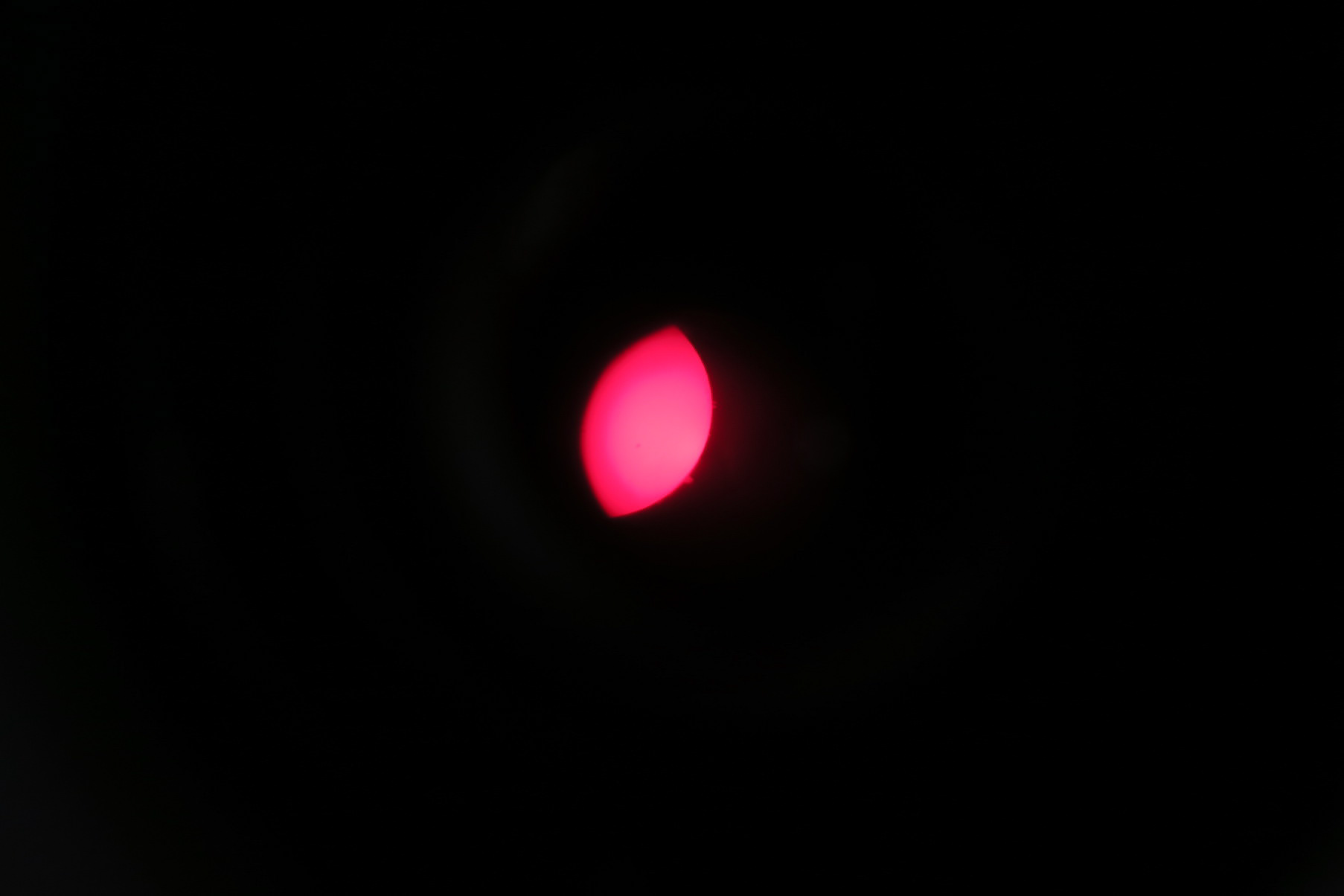 The H-alpha Sun through Karen Kable's telescope. The prominences were, well, prominent.