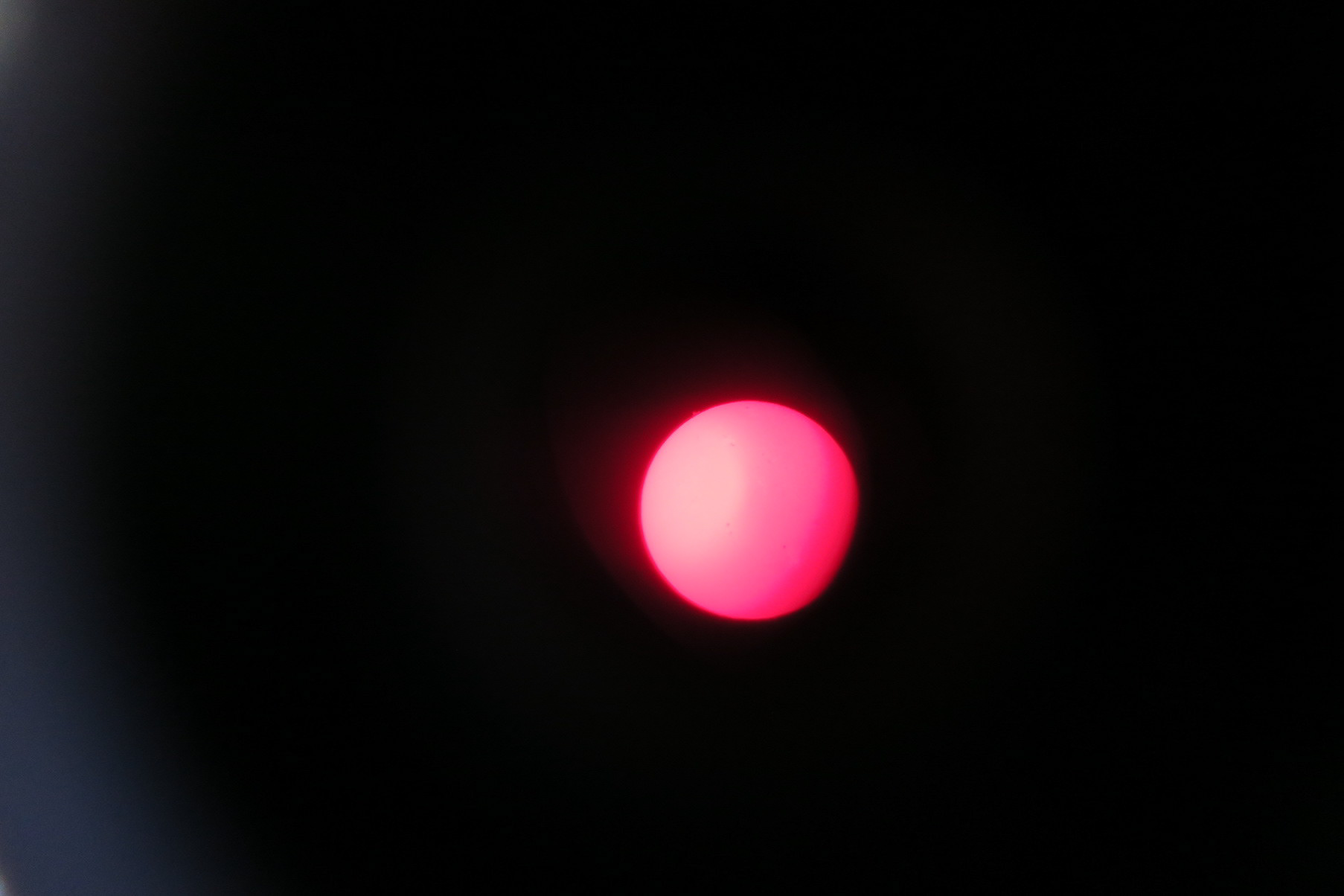 The H-alpha Sun through Karen Kable's telescope. The prominences were, well, prominent.