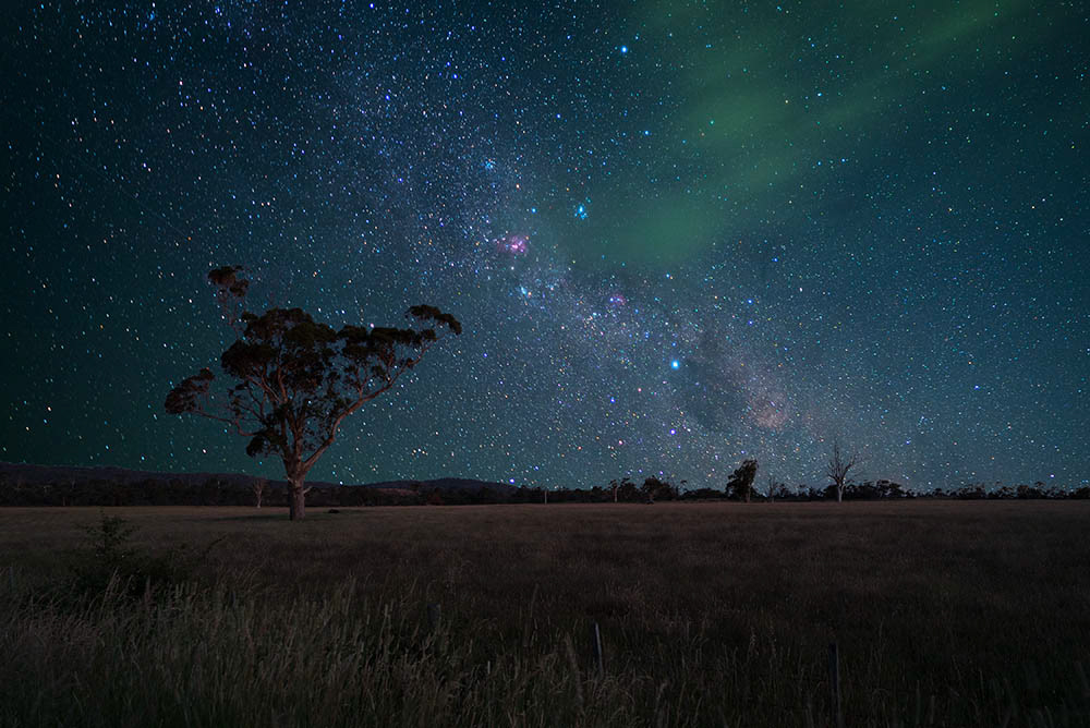 Charlie Marzolla - "Tassi Tree with Milky Way Widefield"