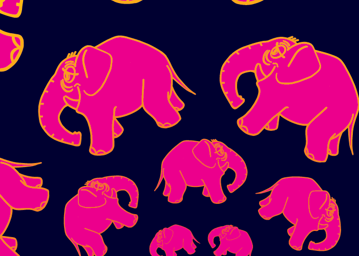 Elephant gros plan 1