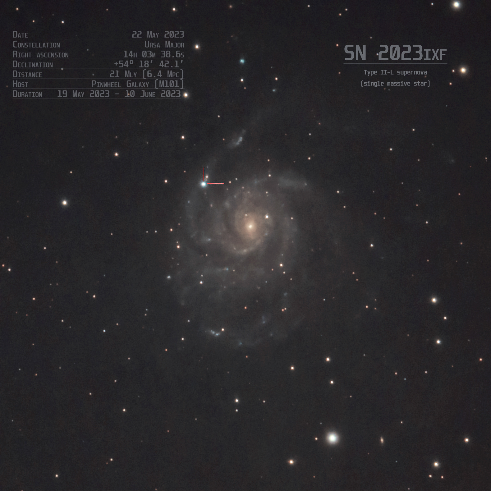 Supernova in the Pinwheel Galaxy