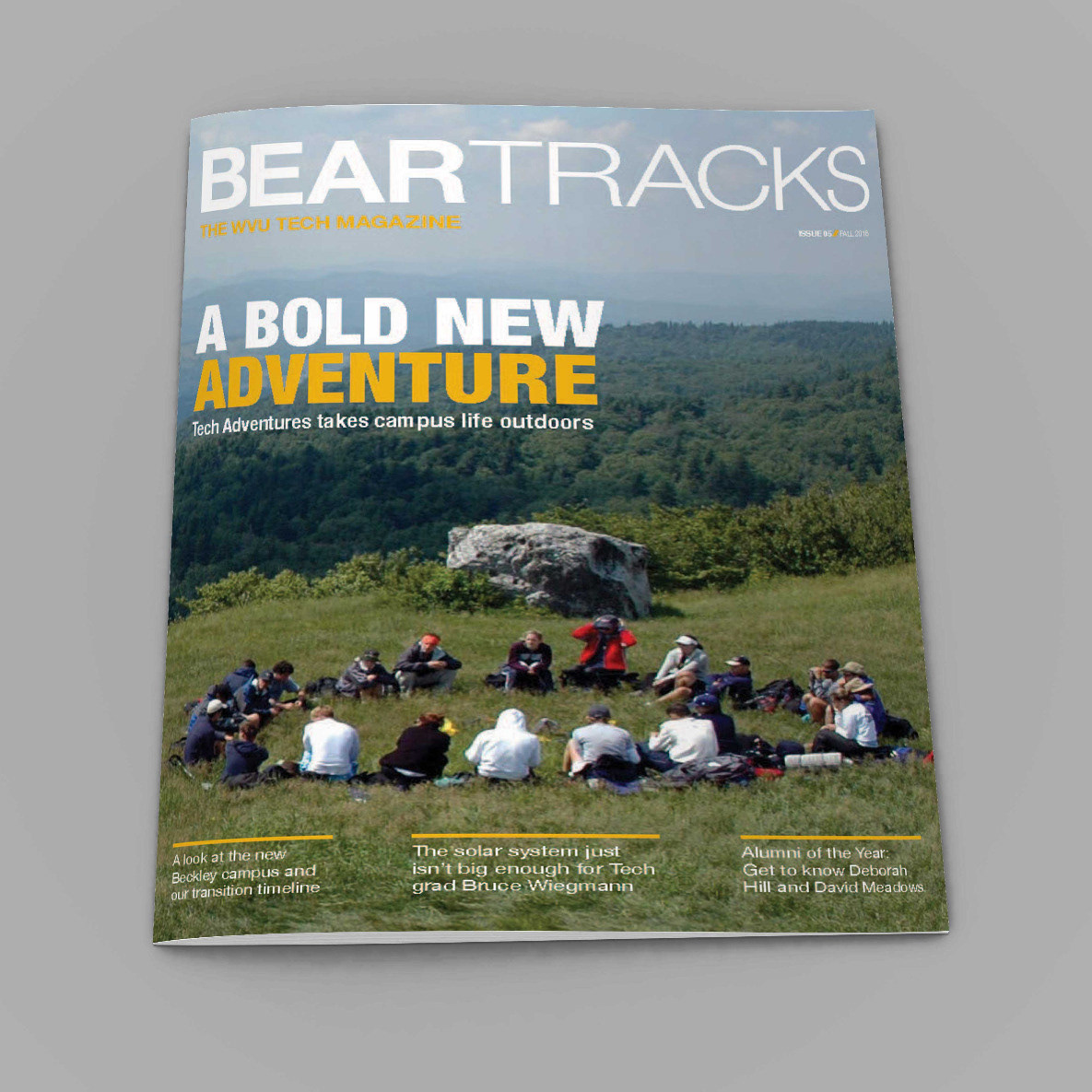 Institutional print design for university communications