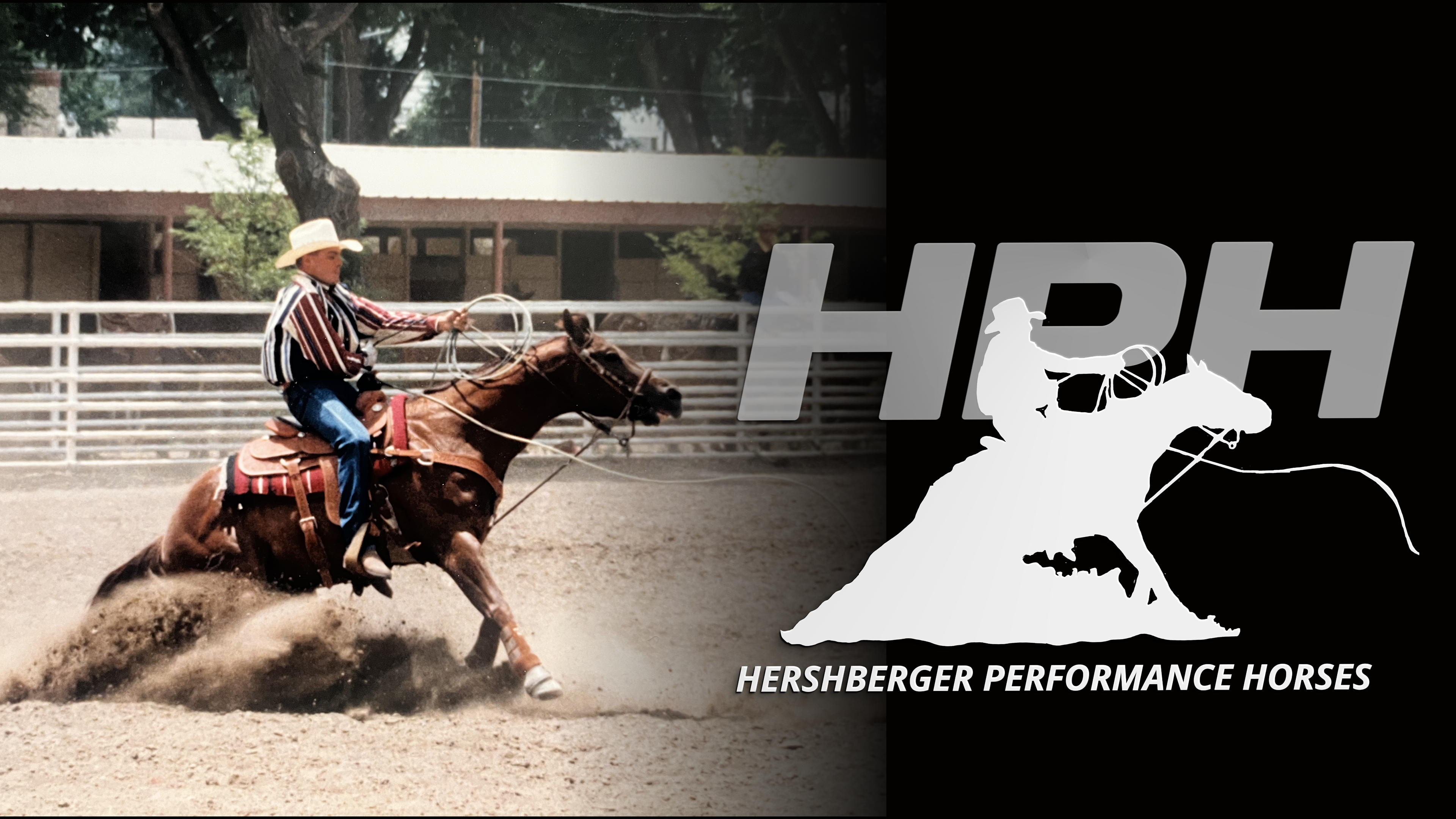 Logo Inspired by personal photo and origonal logo