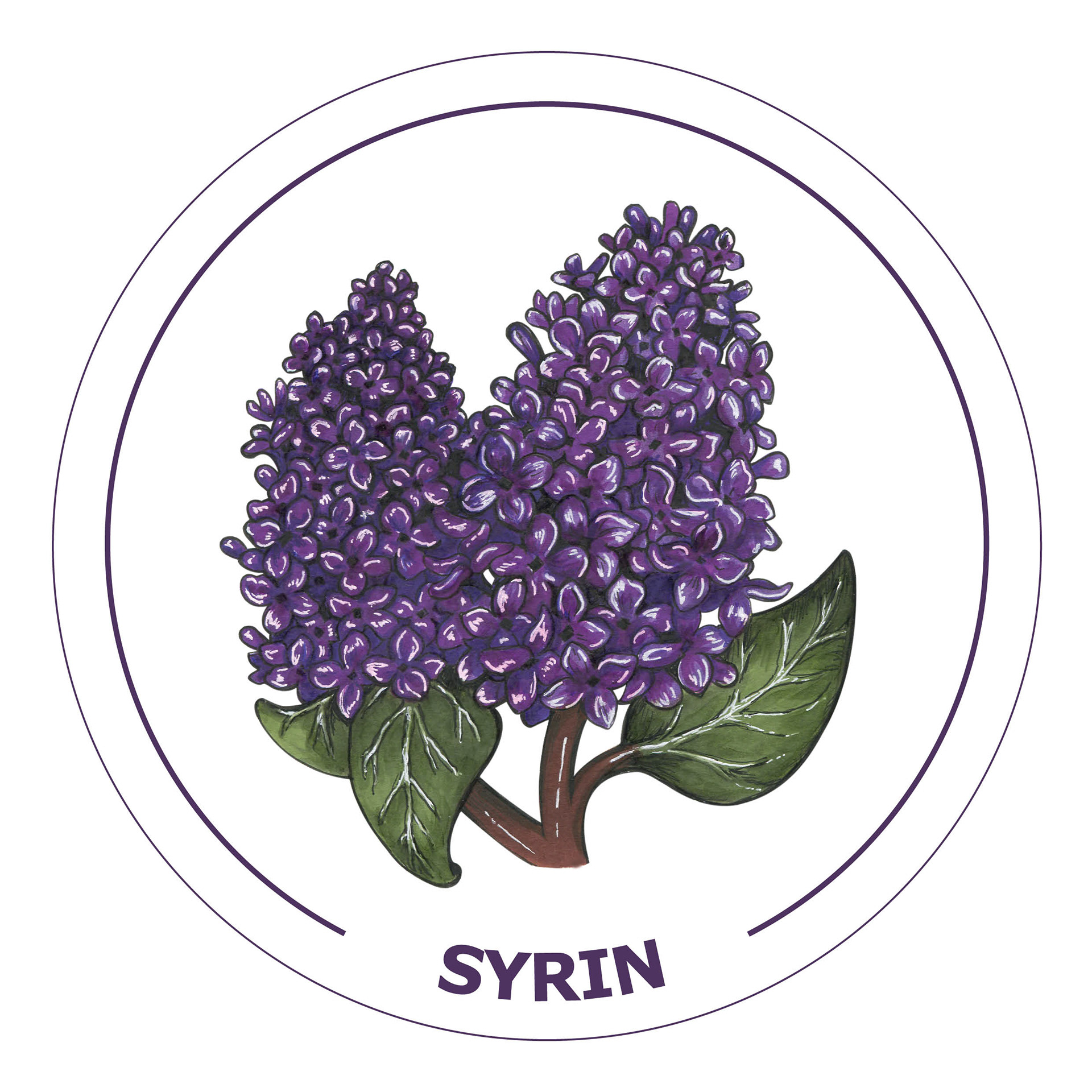 «Syrin»