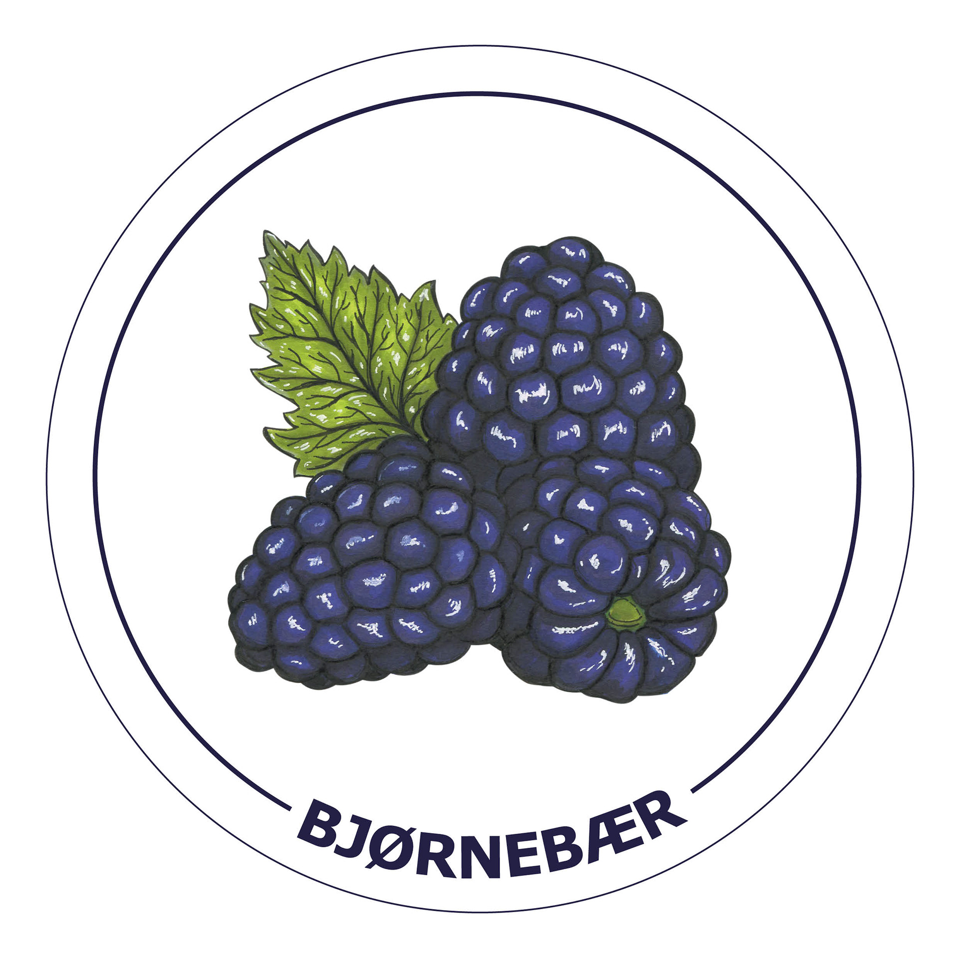 «Bjørnebær»