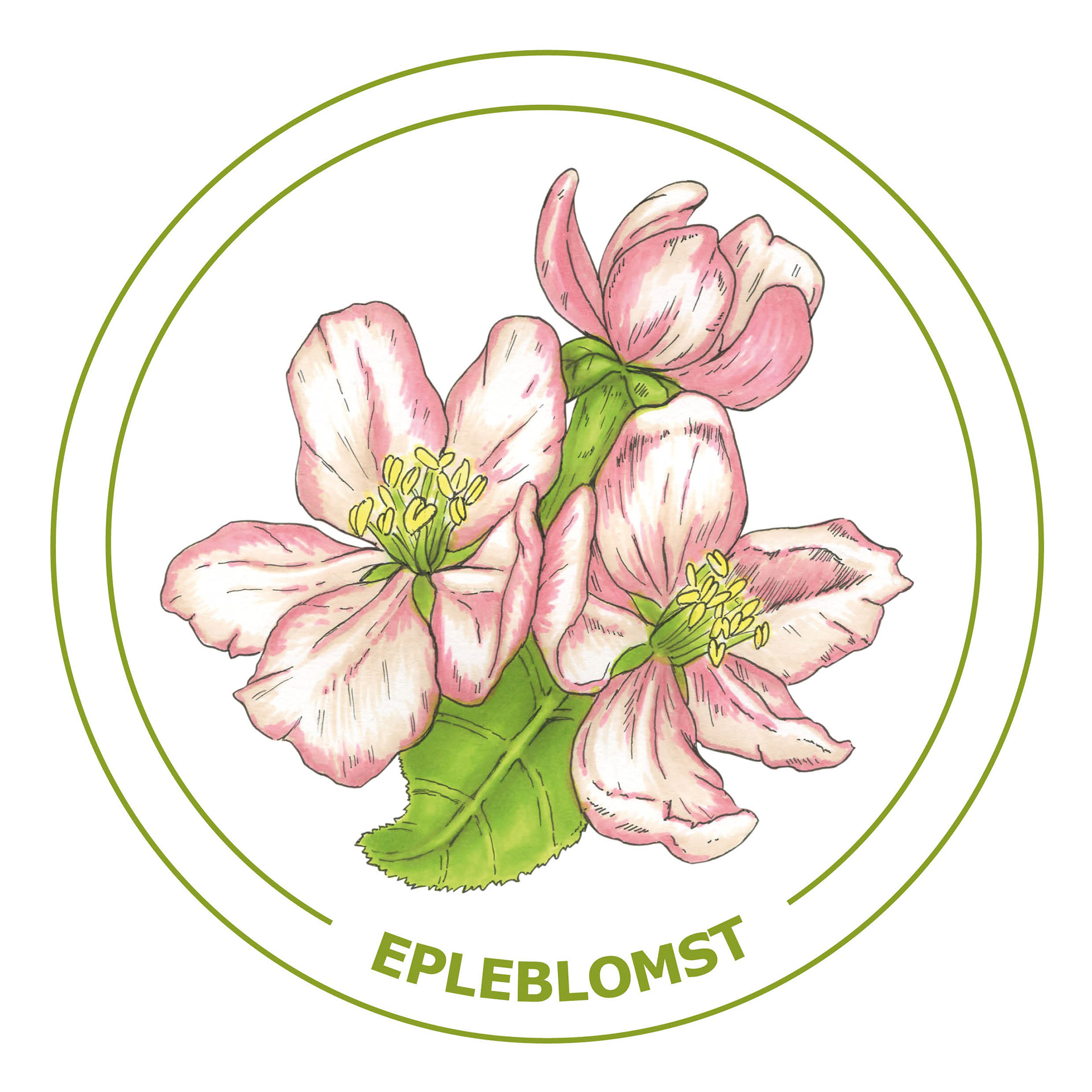 «Epleblomst»