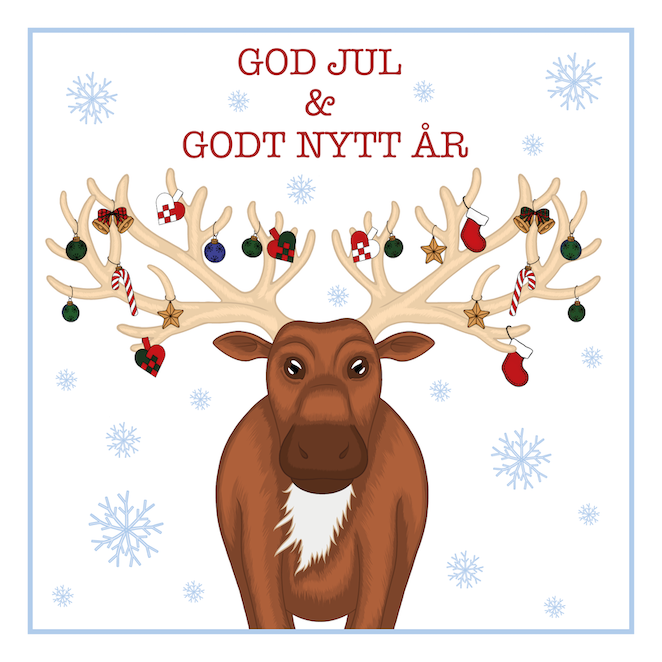 «Reinsdyr med pynt julekort»