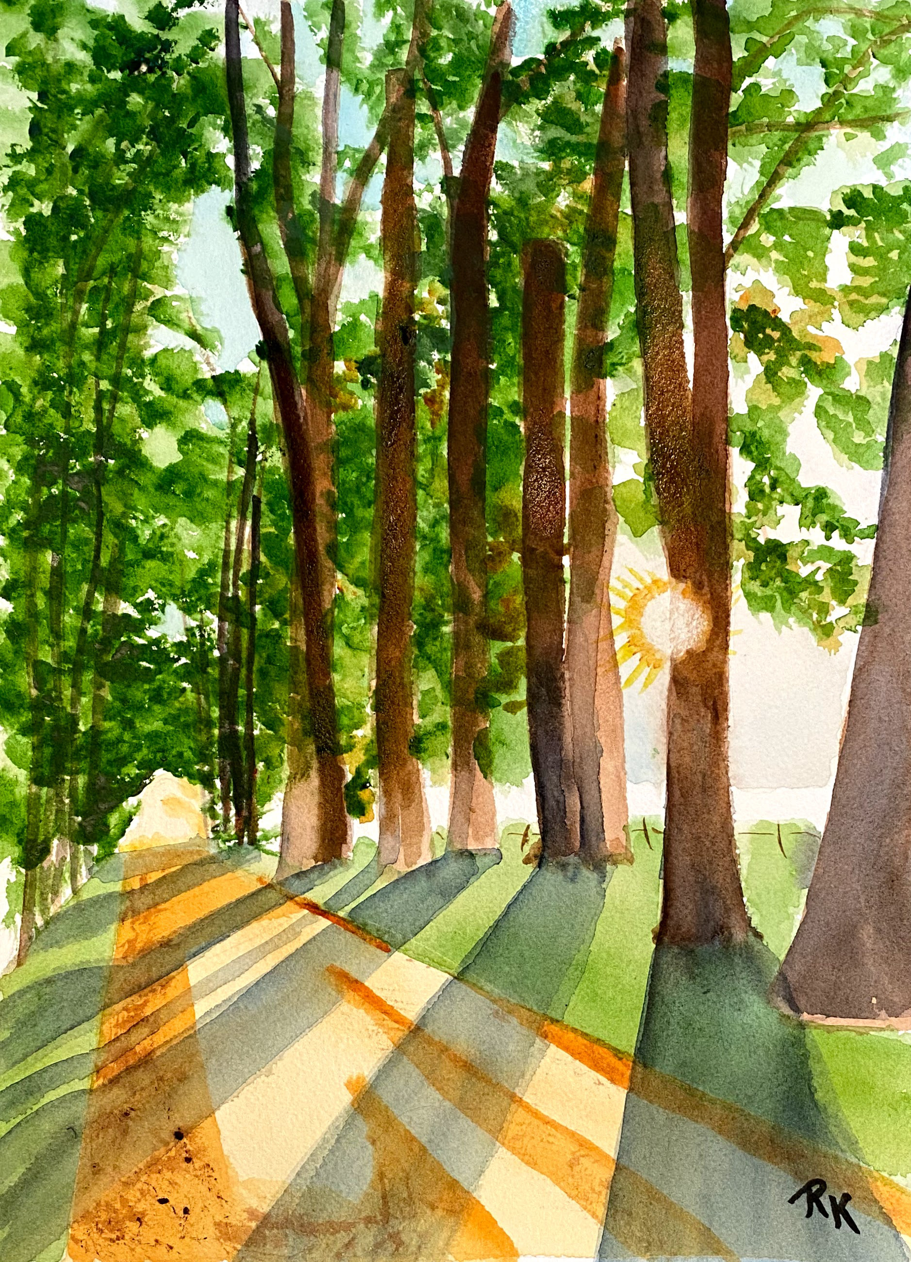 Tree Tunnel