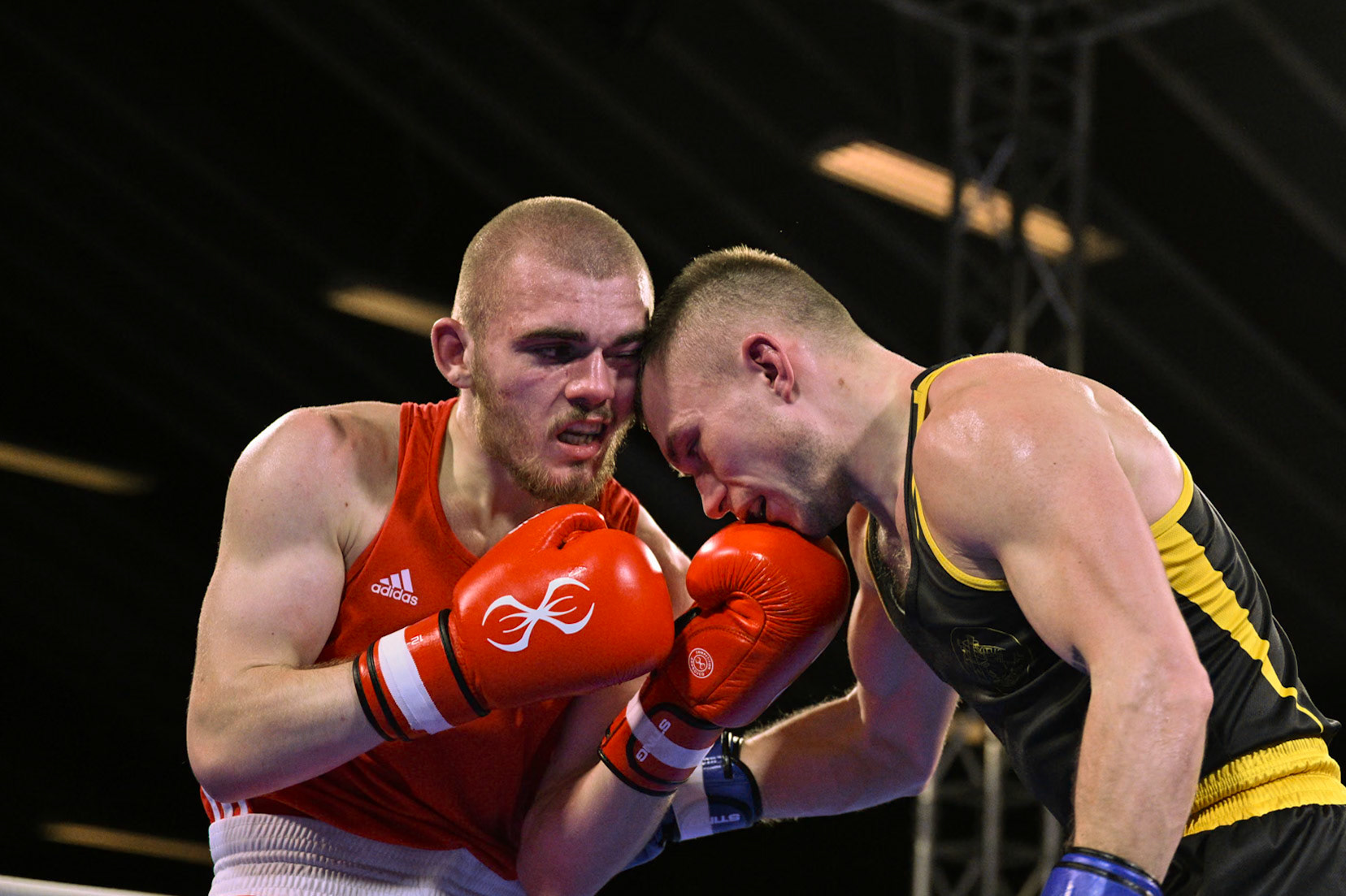 Jysk Mesterskan i Boksning