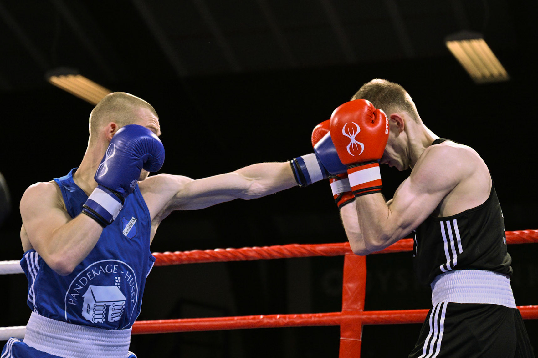 Jysk Mesterskan i Boksning