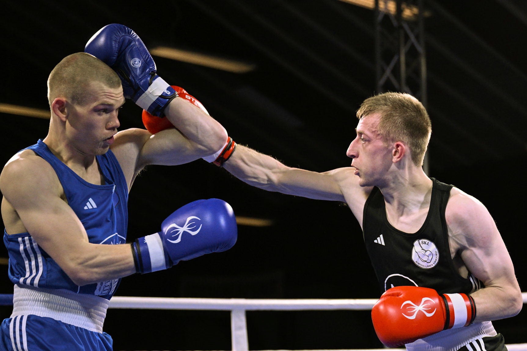 Jysk Mesterskan i Boksning