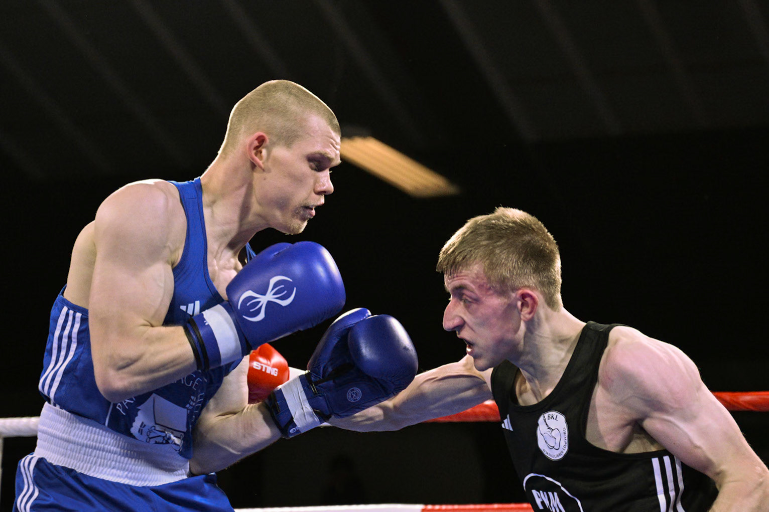 Jysk Mesterskan i Boksning