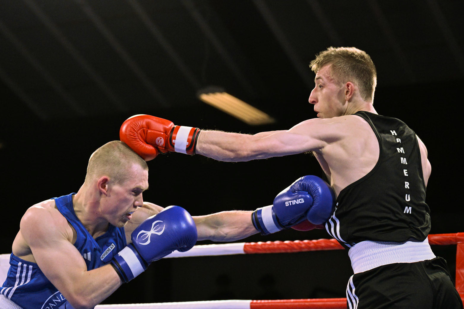 Jysk Mesterskan i Boksning