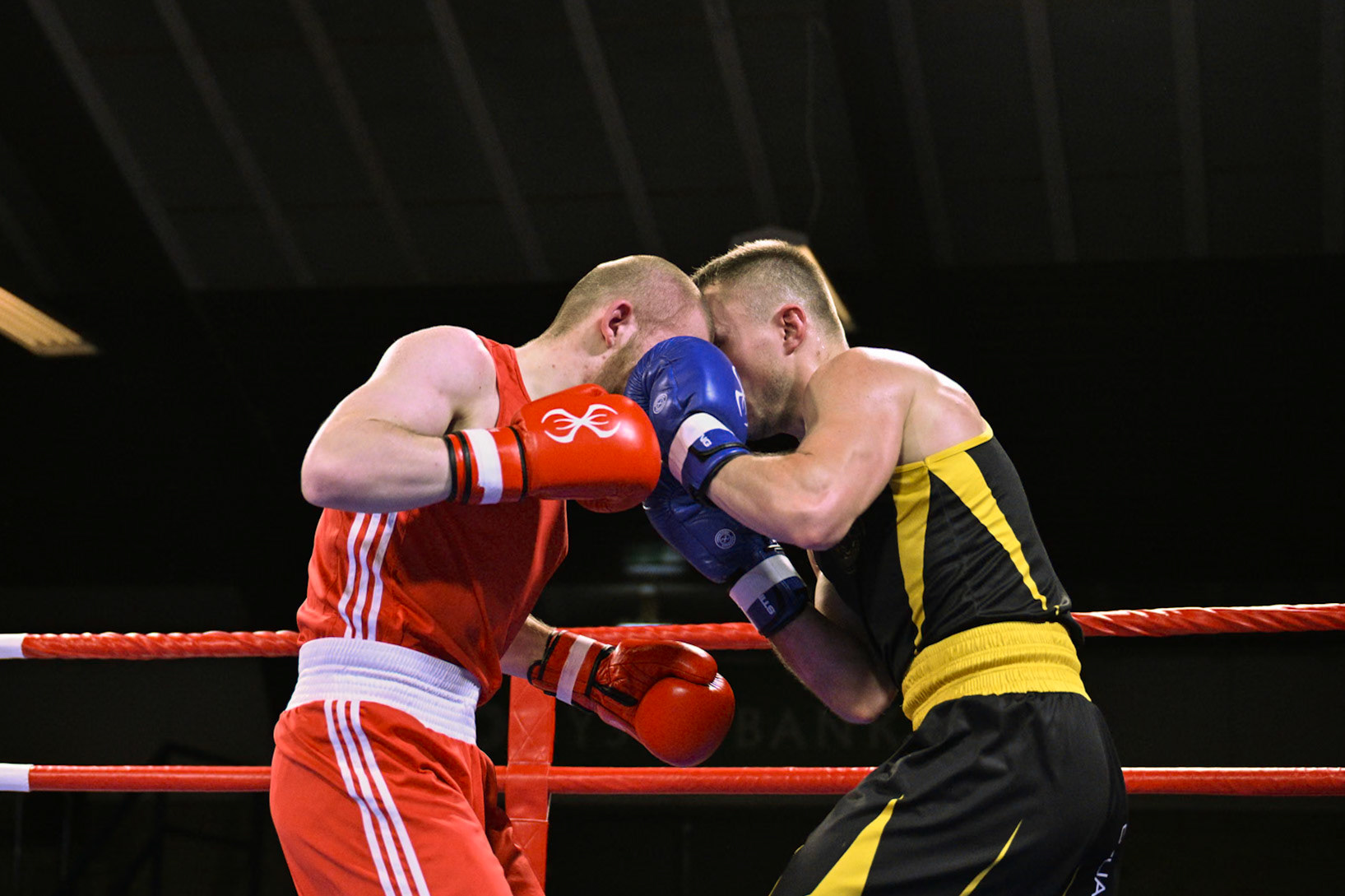 Jysk Mesterskan i Boksning