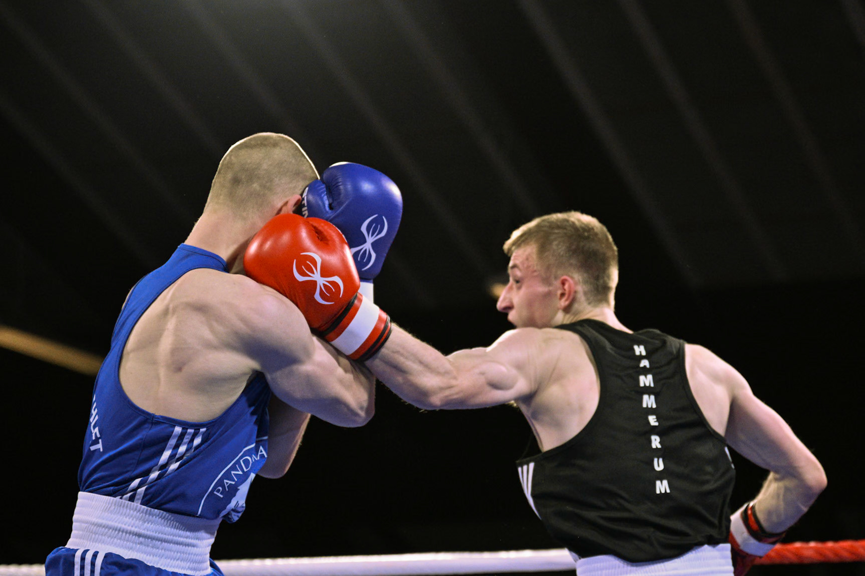 Jysk Mesterskan i Boksning