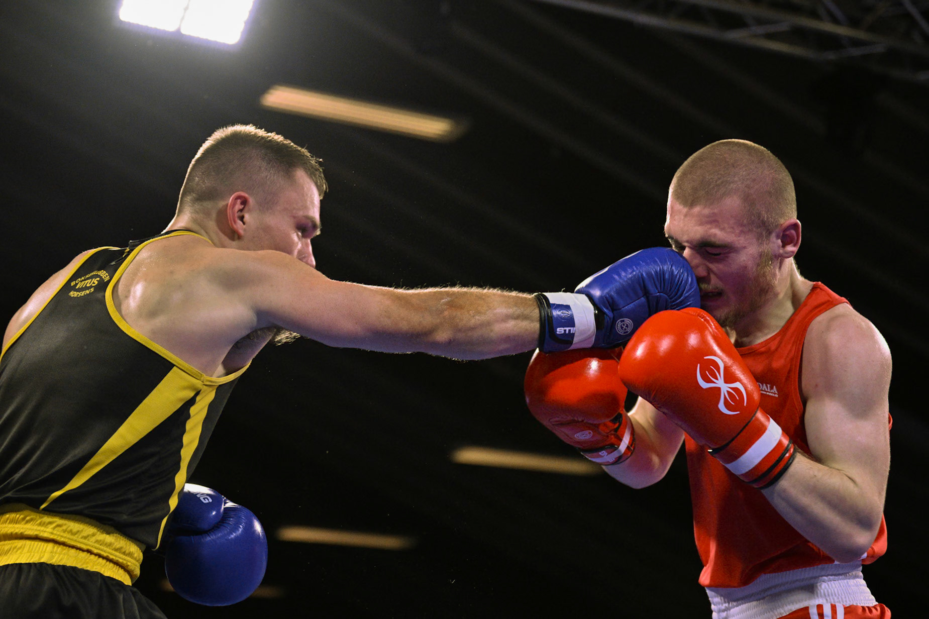 Jysk Mesterskan i Boksning