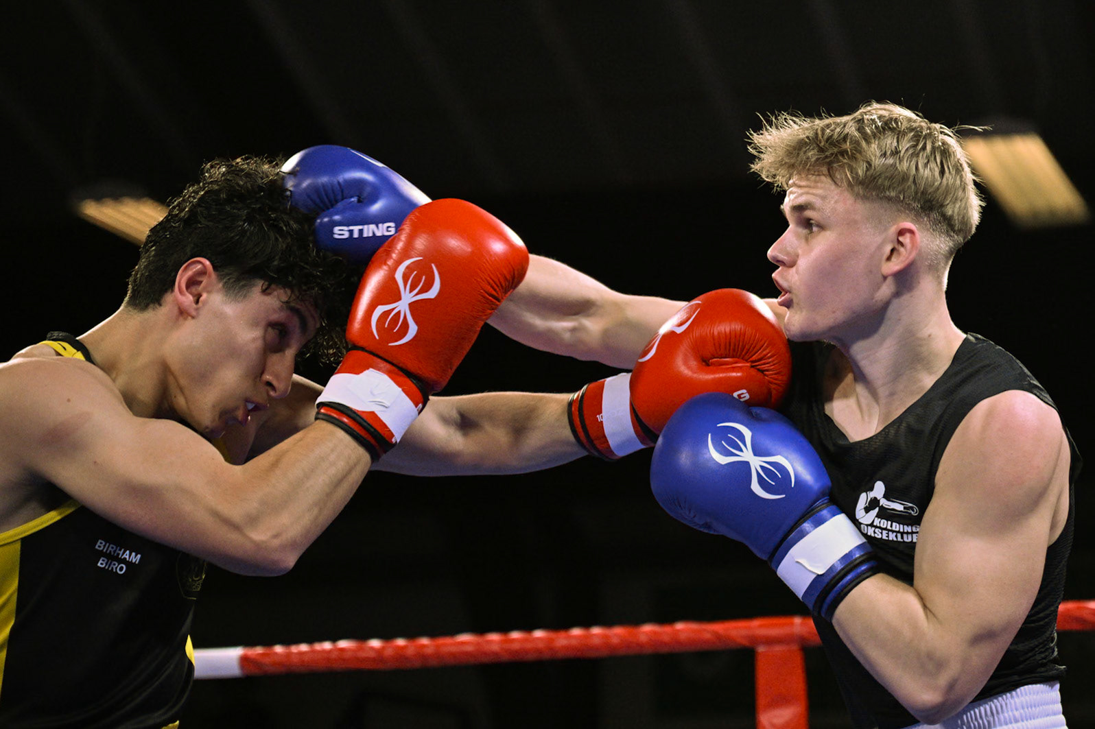 Jysk Mesterskan i Boksning