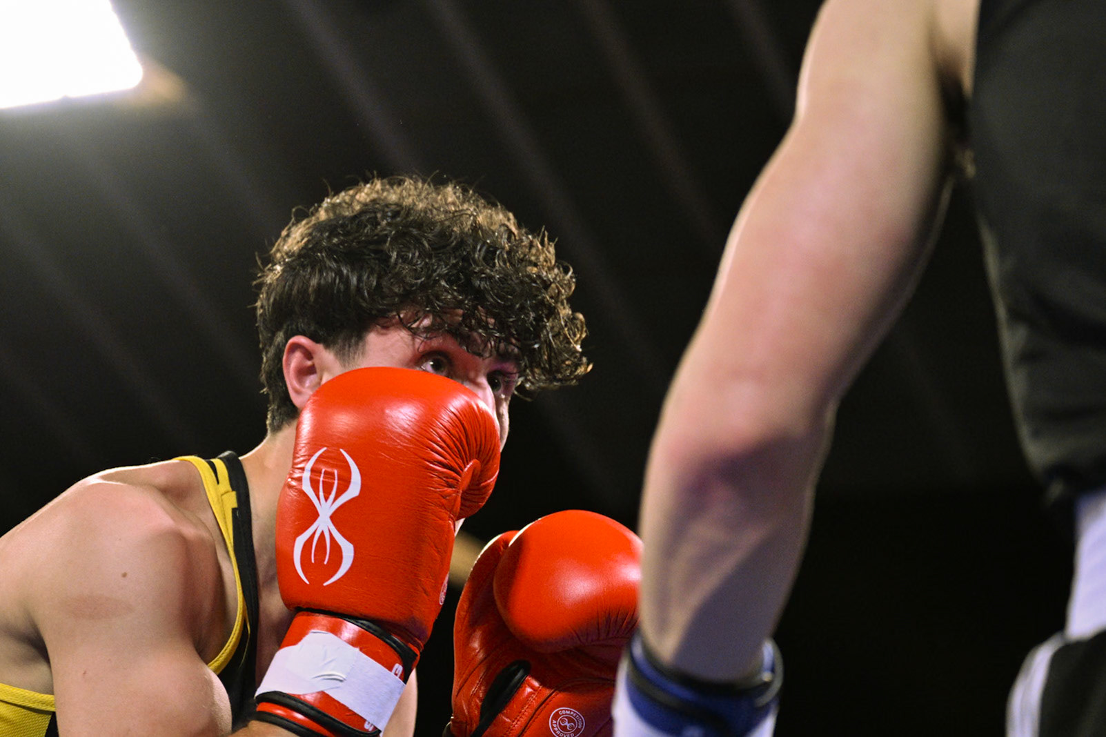 Jysk Mesterskan i Boksning