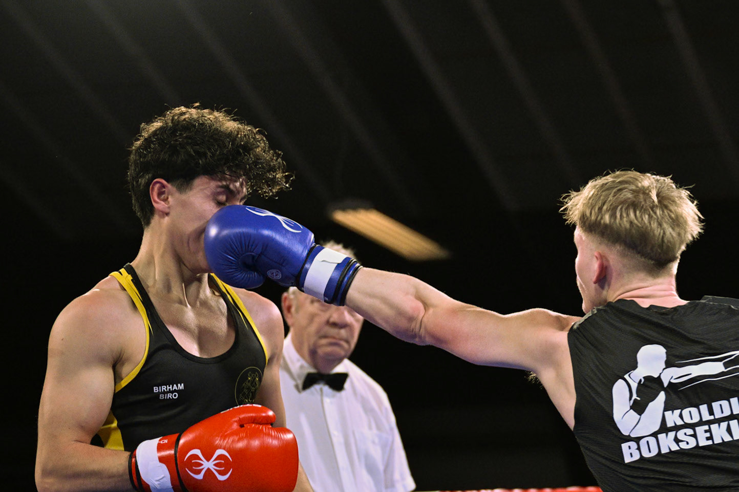 Jysk Mesterskan i Boksning