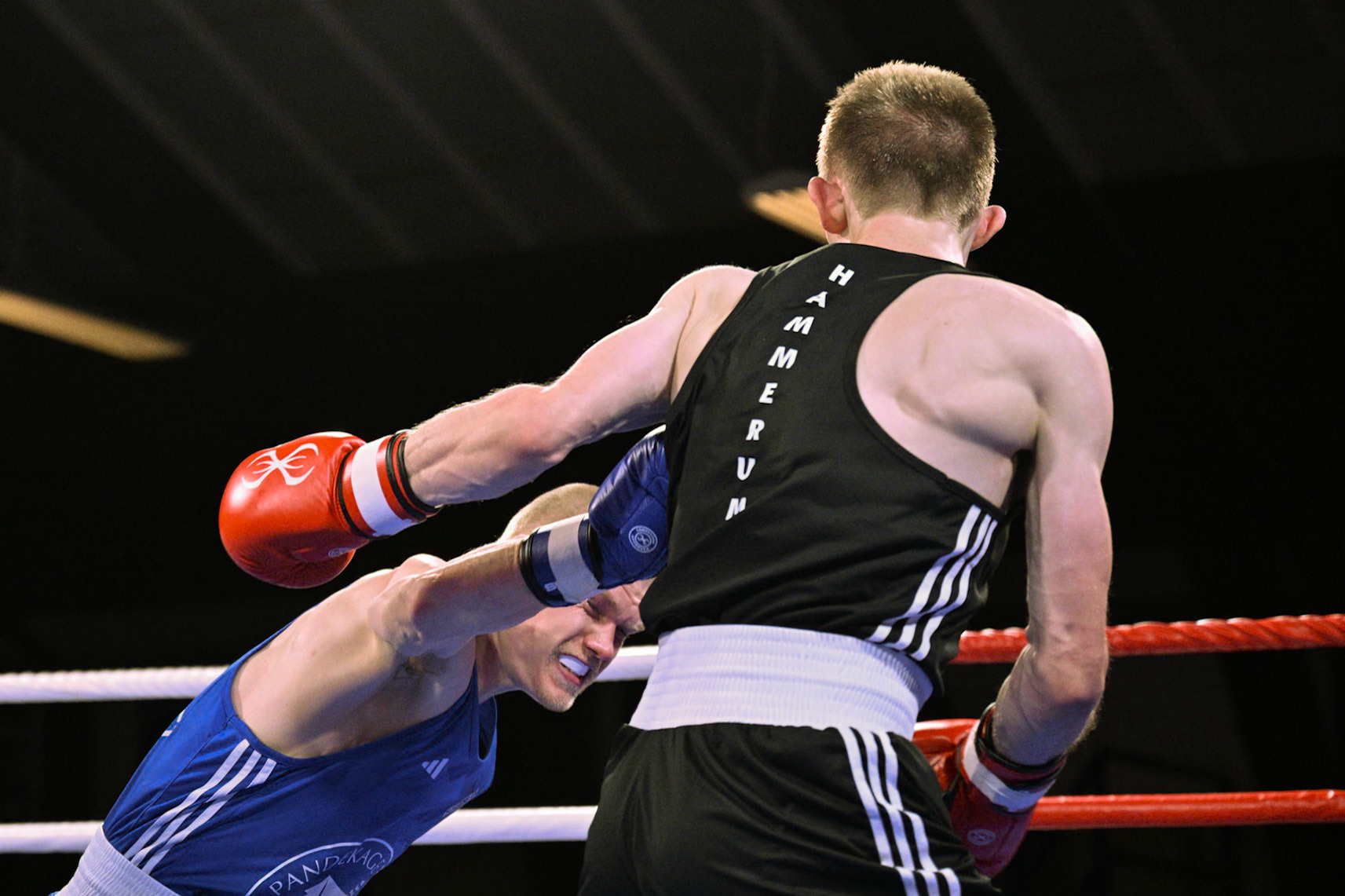 Jysk Mesterskan i Boksning