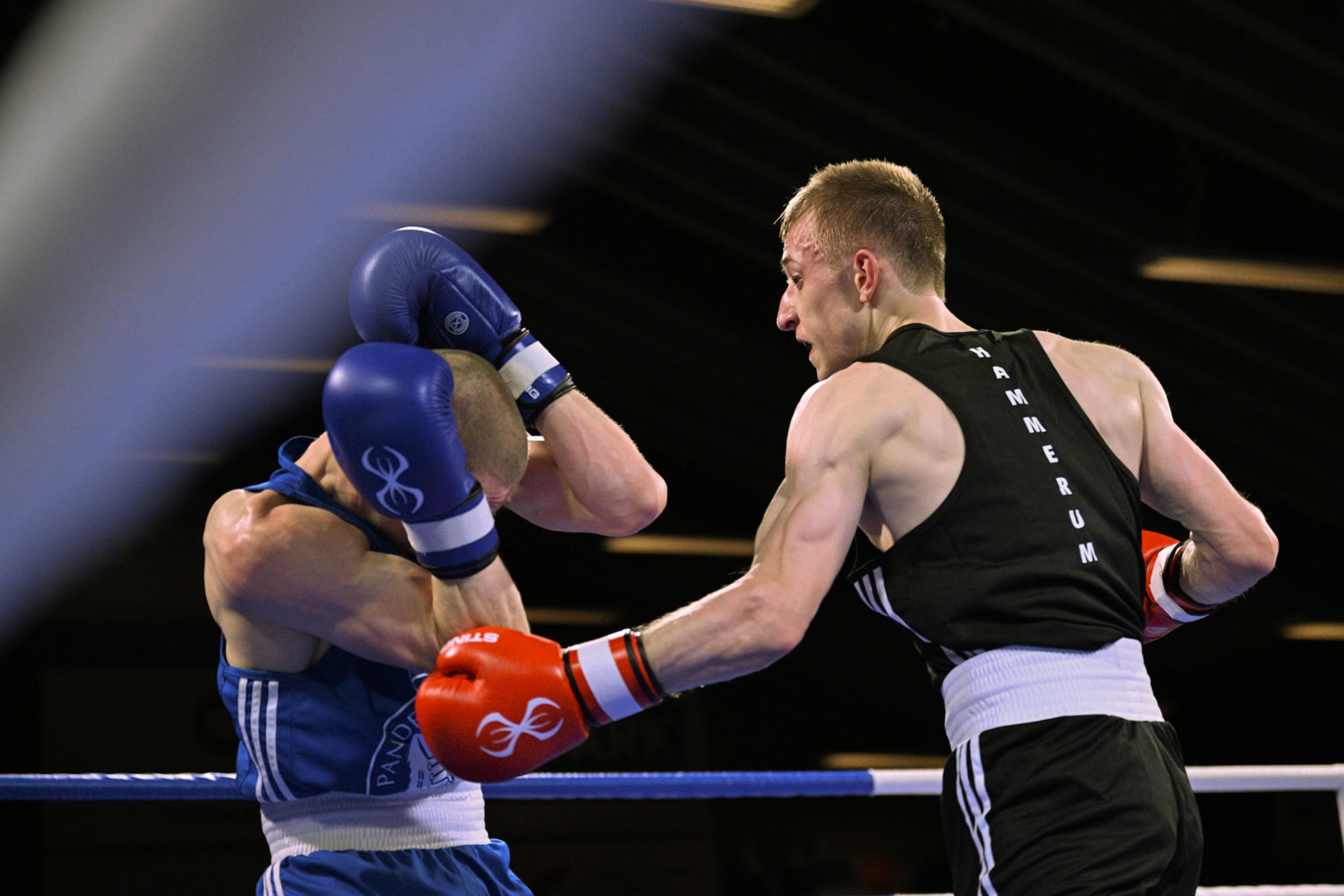 Jysk Mesterskan i Boksning