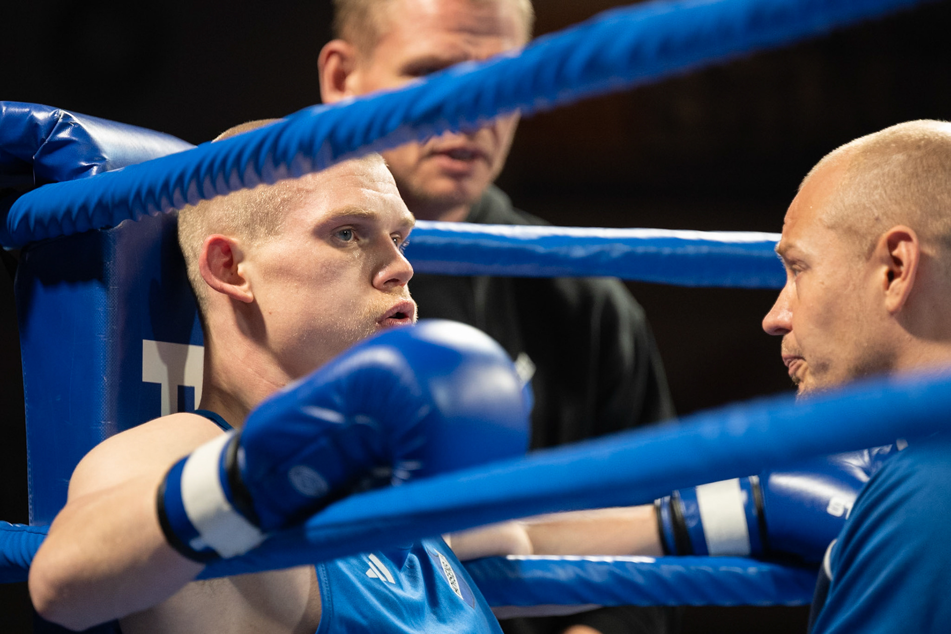 Jysk Mesterskan i Boksning