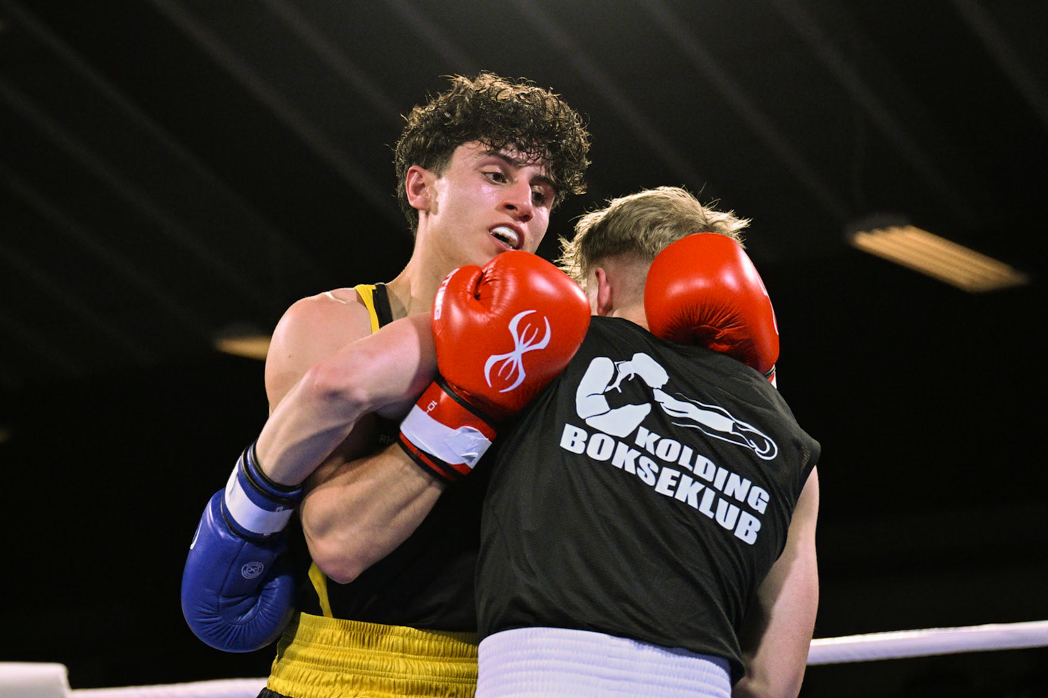 Jysk Mesterskan i Boksning