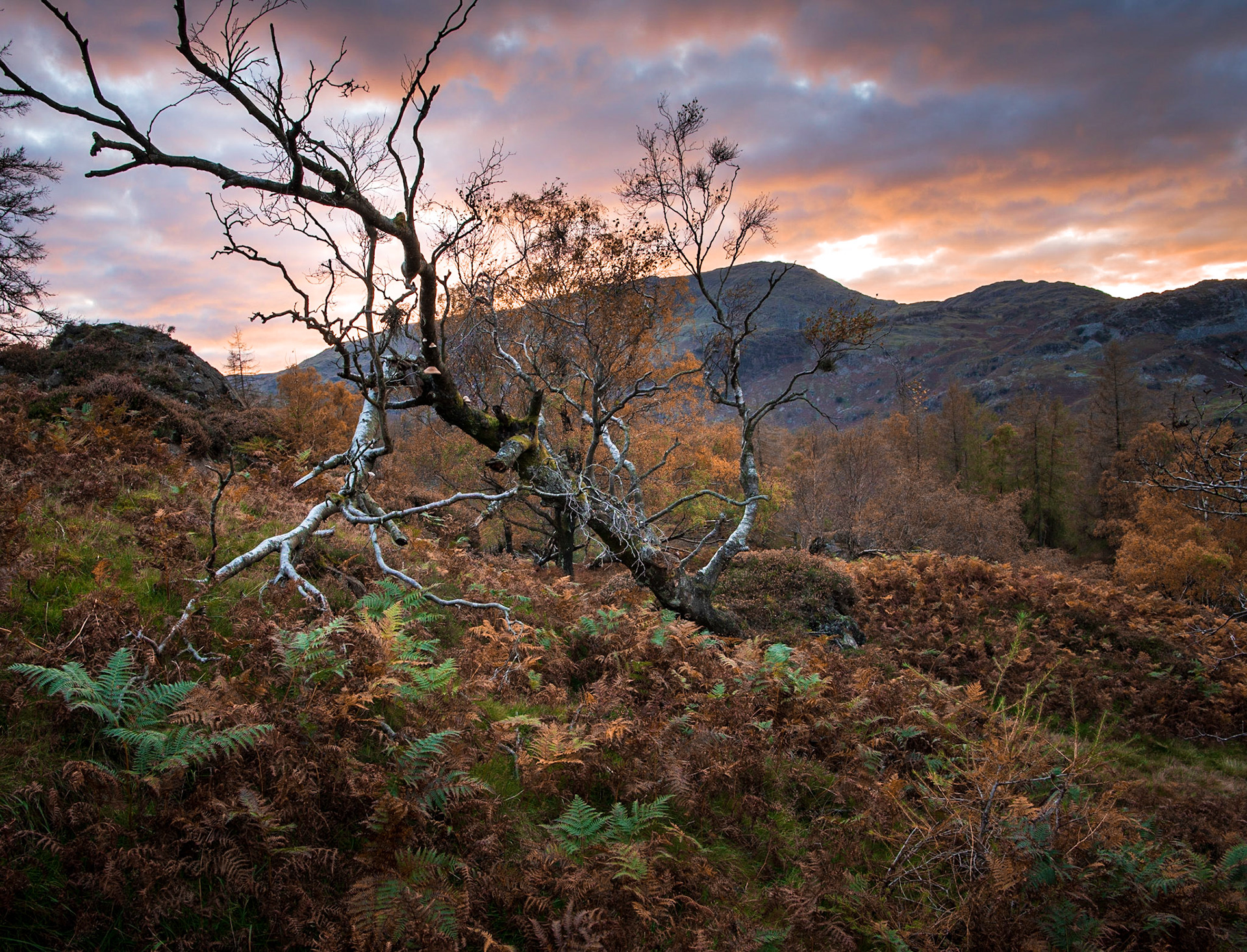 Lake District