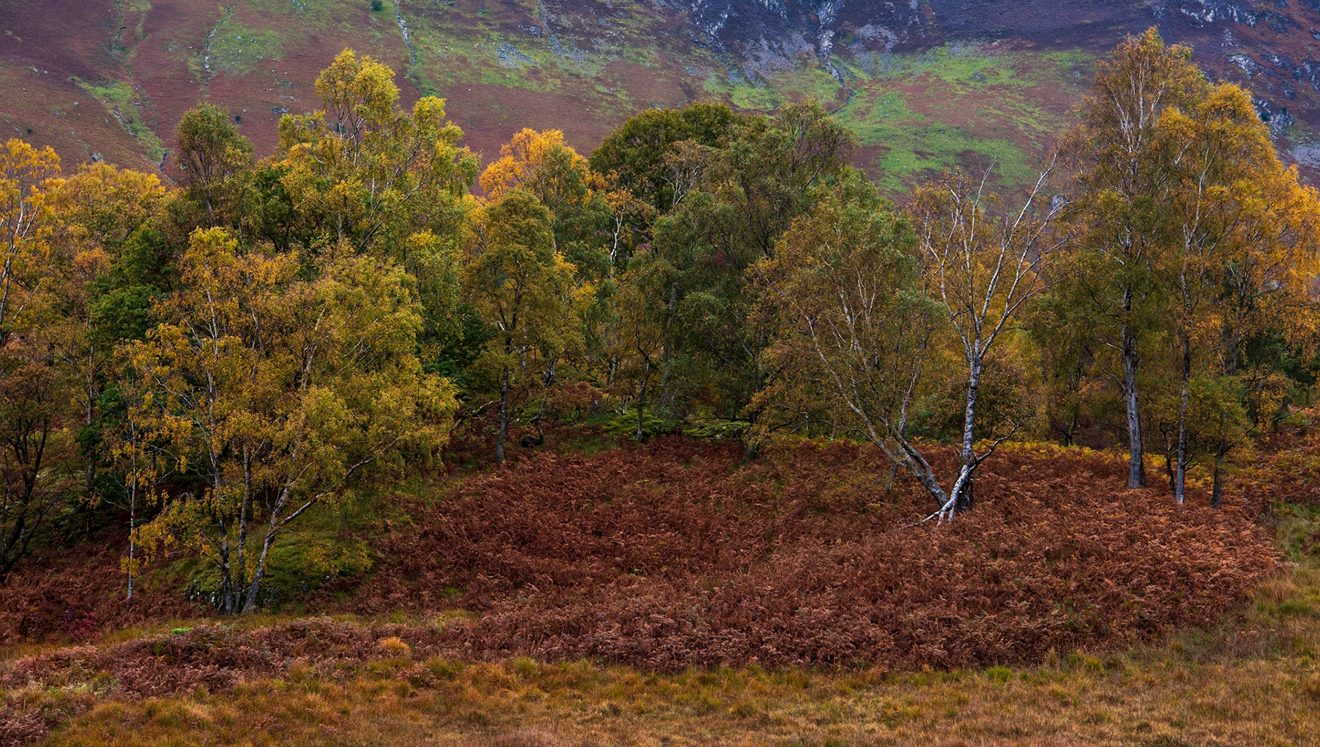 Lake District