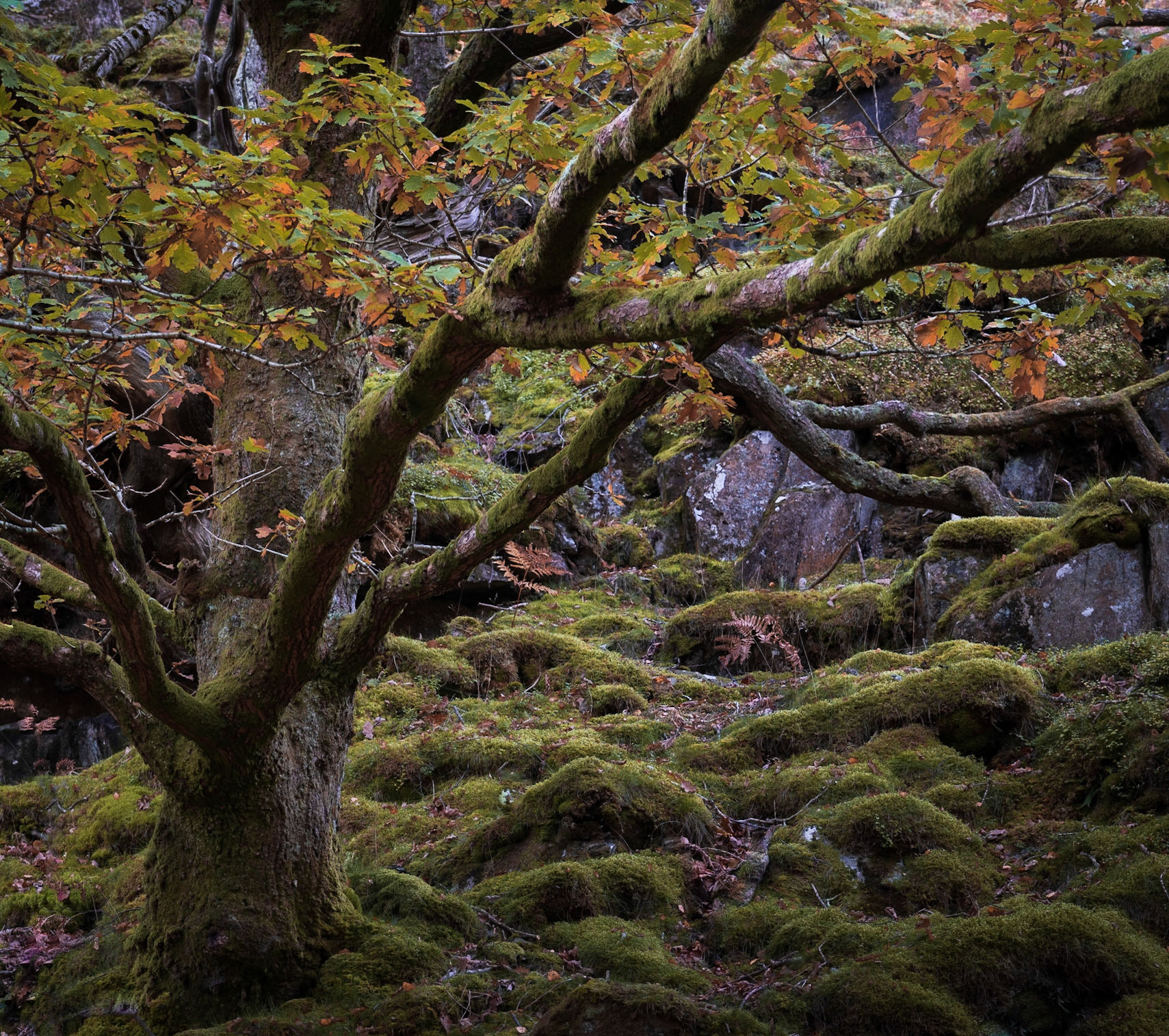 Lake District
