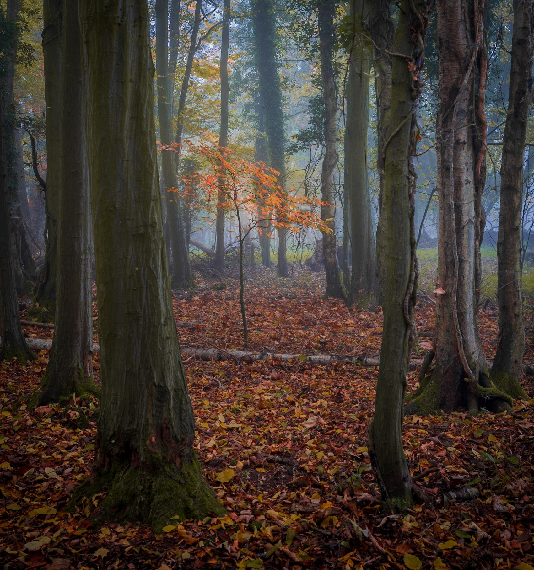 Wiltshire
