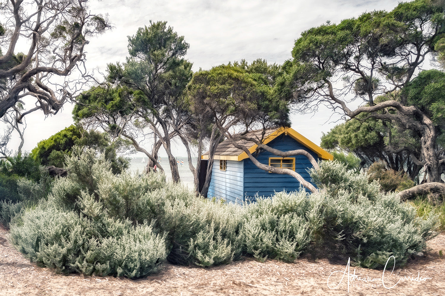 Beach huts