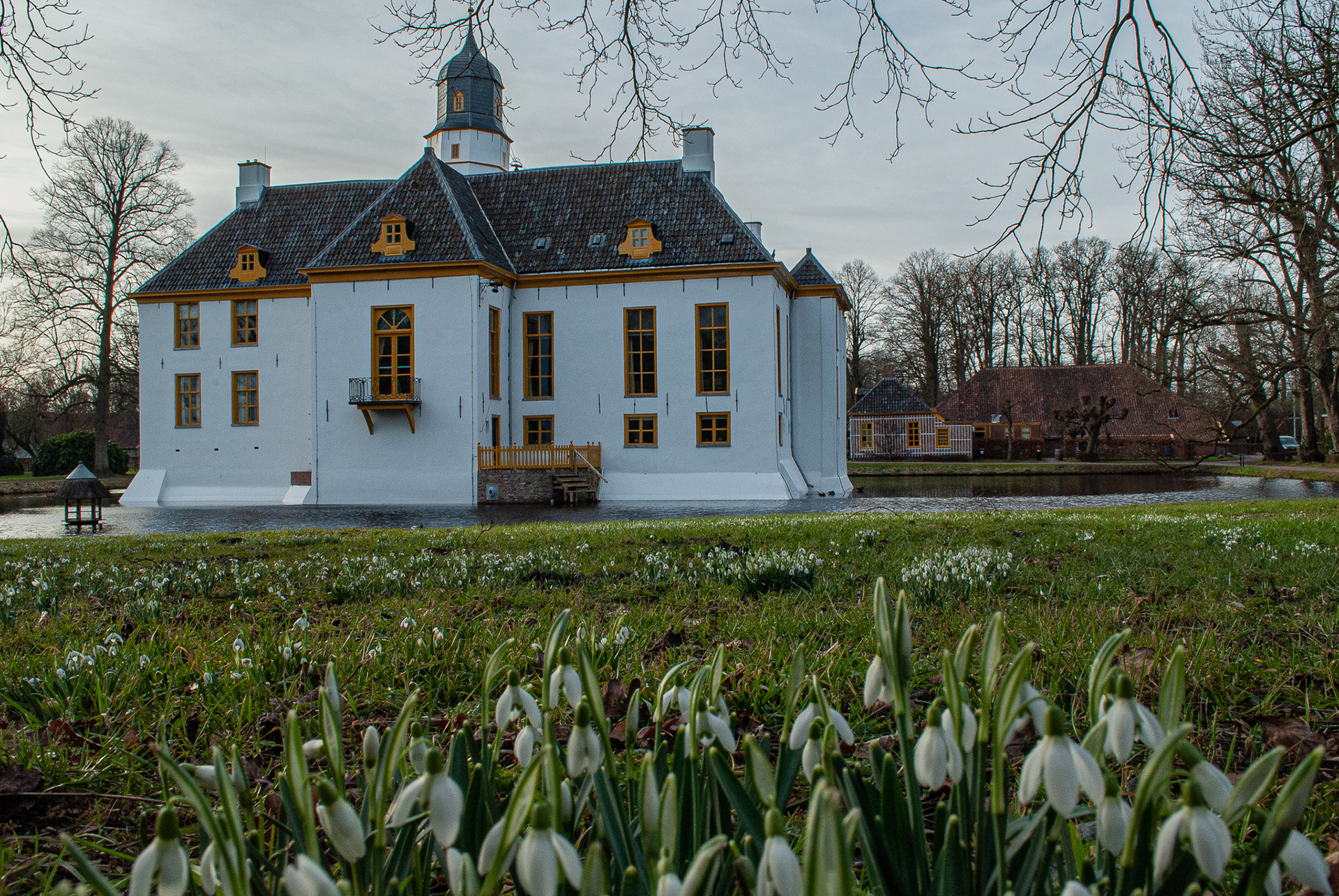 Sneeuwklokjes bij de Fraeylemaborg 20-2-2021