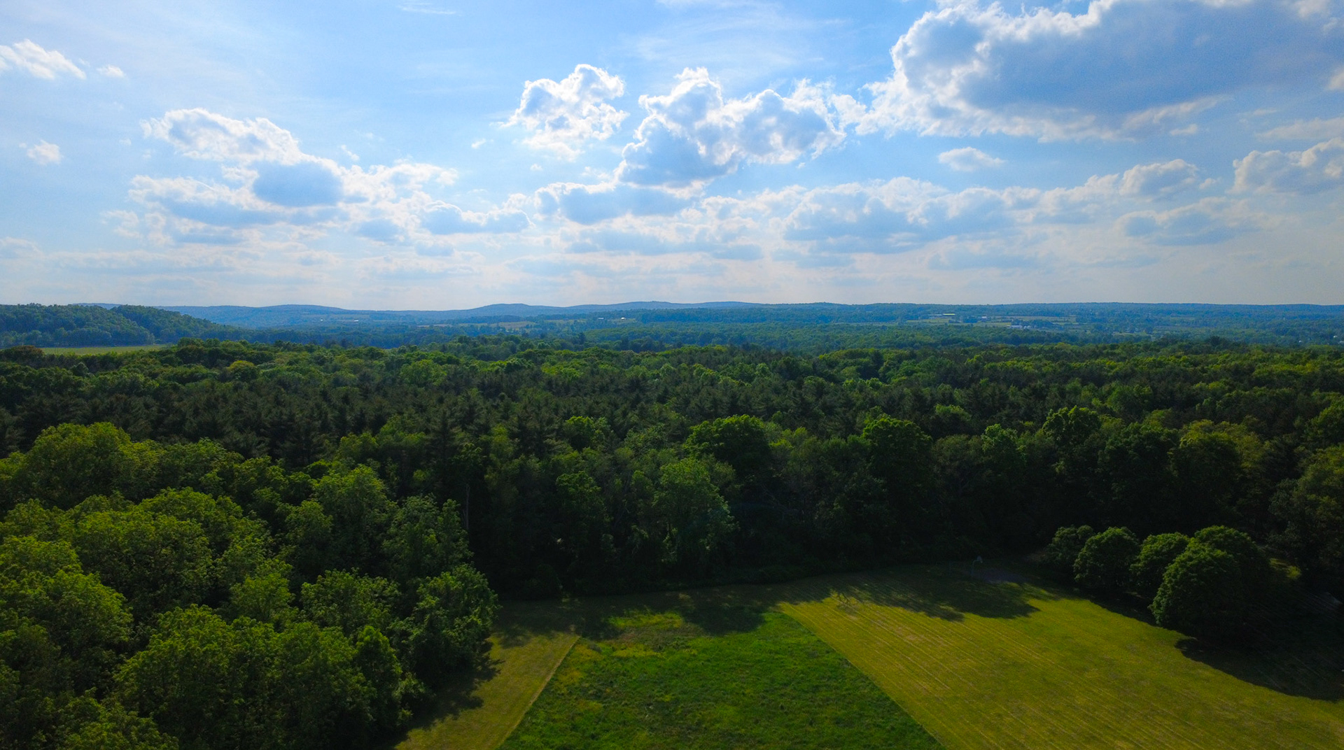 DCIM\100MEDIA\DJI_0049.JPG