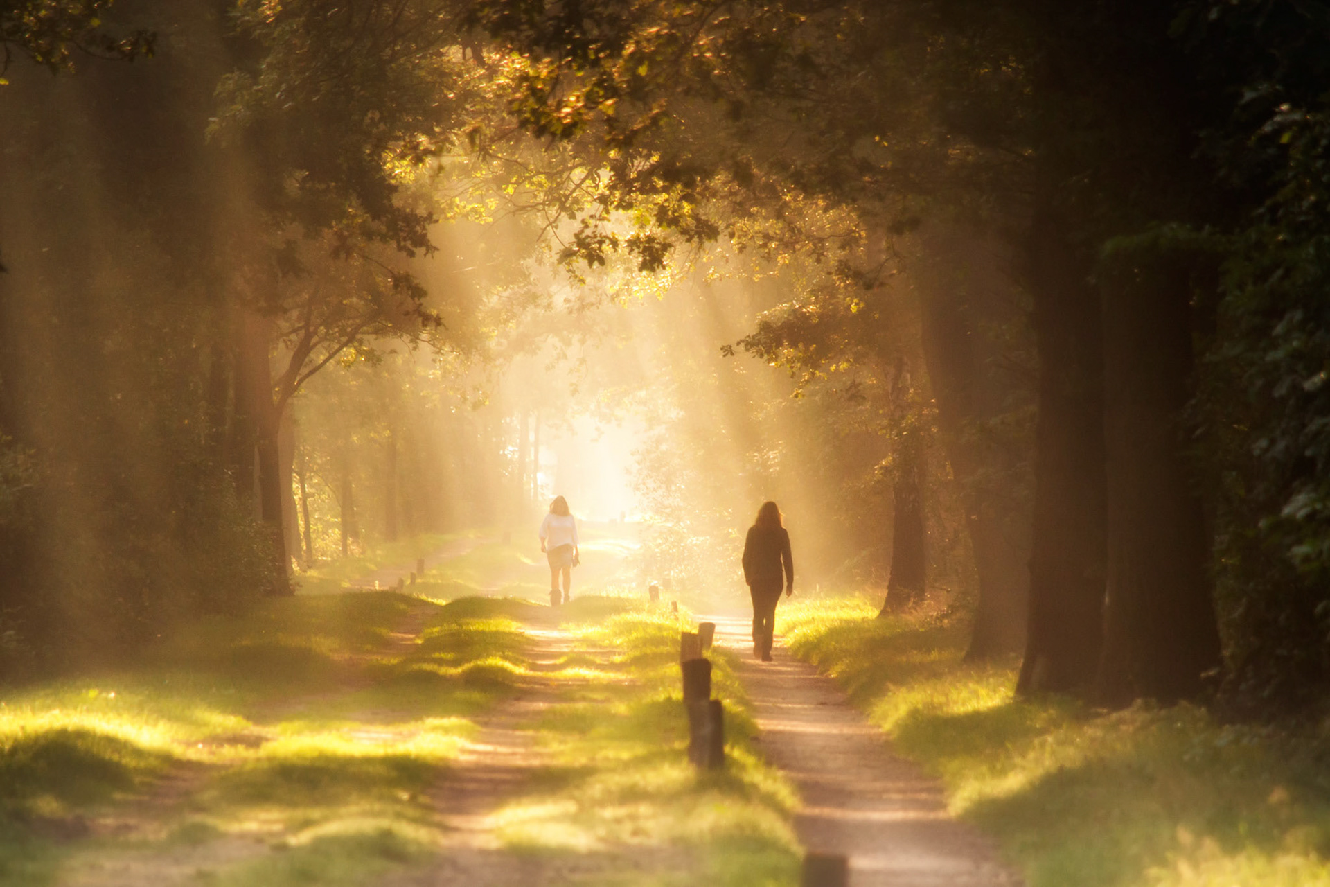 Challenge winnaar Gurushots