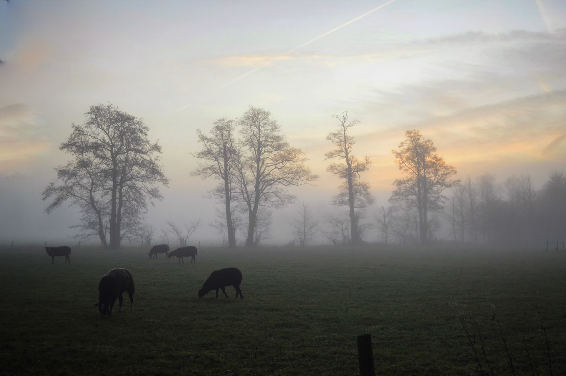 Wierdensestraat, Almelo