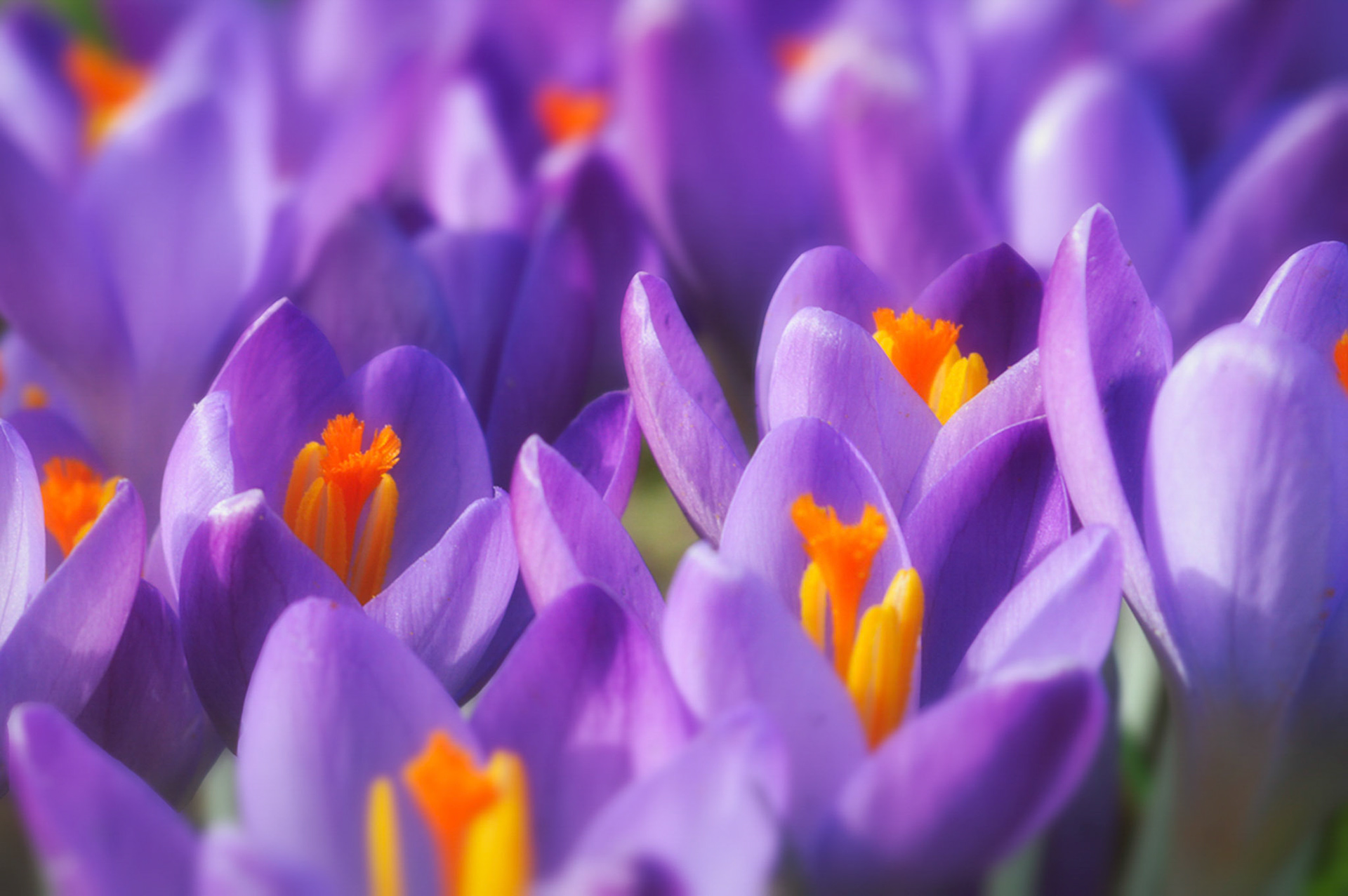 Contest winnaar Viewbug