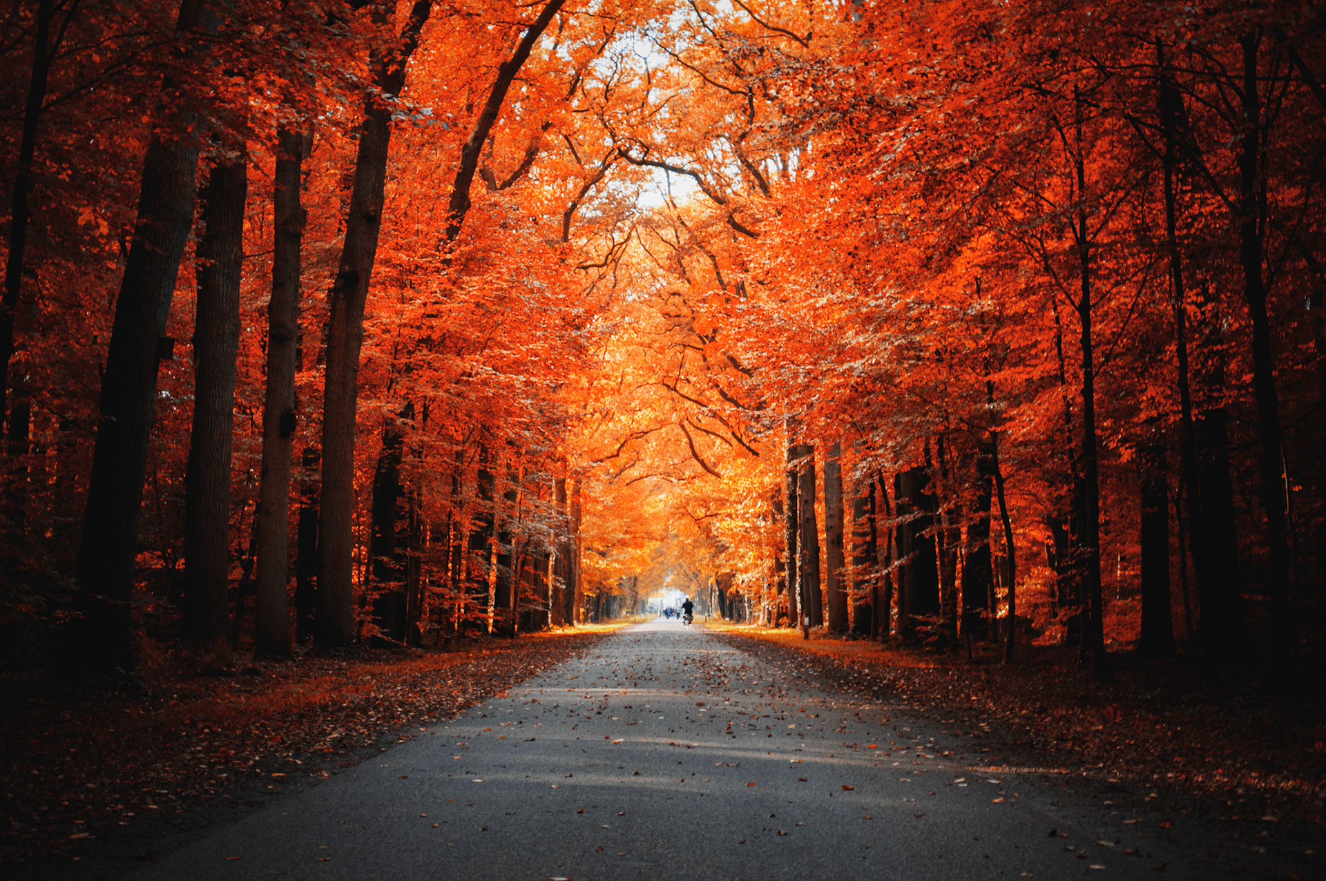 Contest winnaar Viewbug