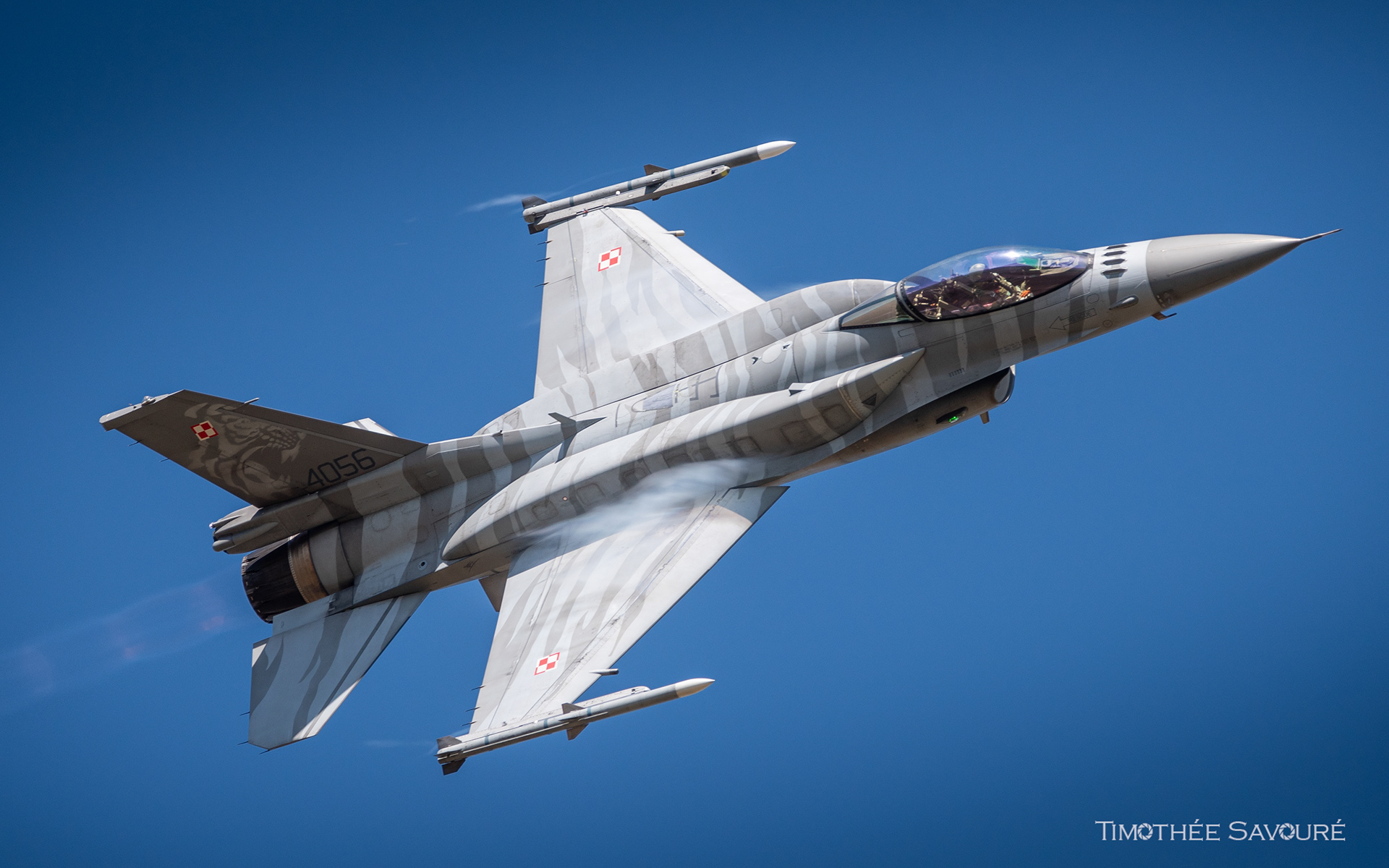 Polish Tiger Demo Team with Major Slab in command