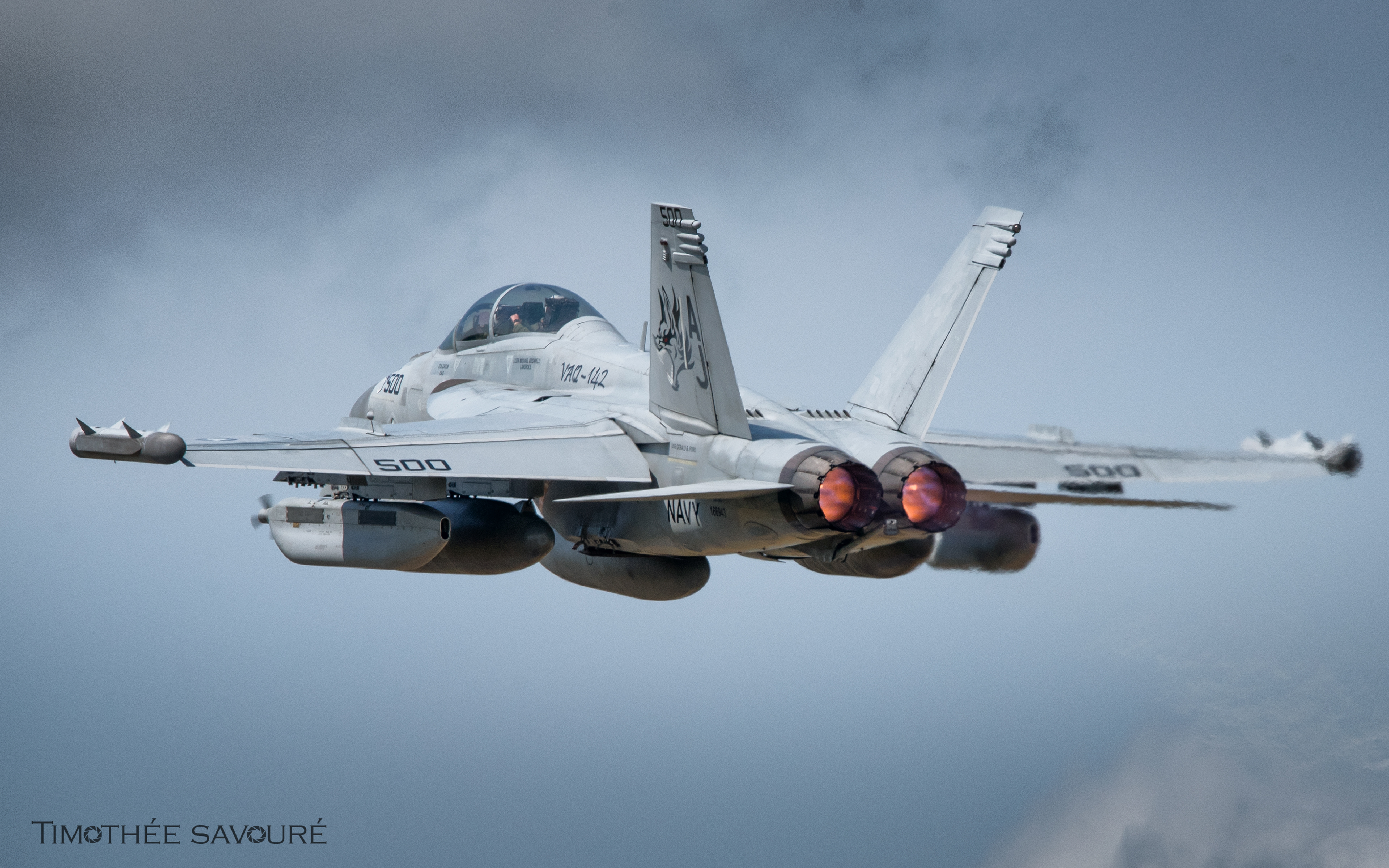 US Navy Boeing EA-18G Growler | 166943